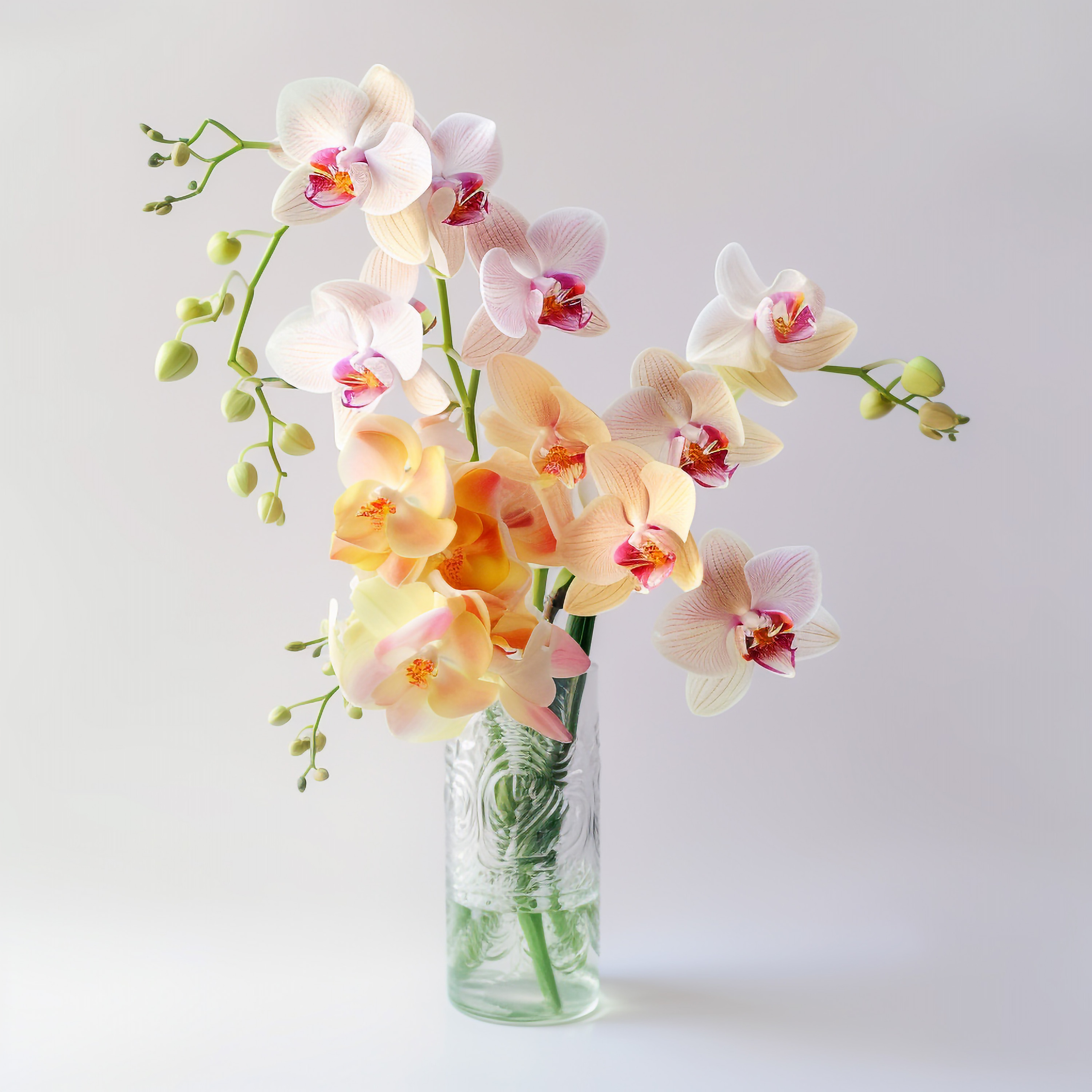 NEURALE FOTOS_BILDER. LUKIN IGOR Photography