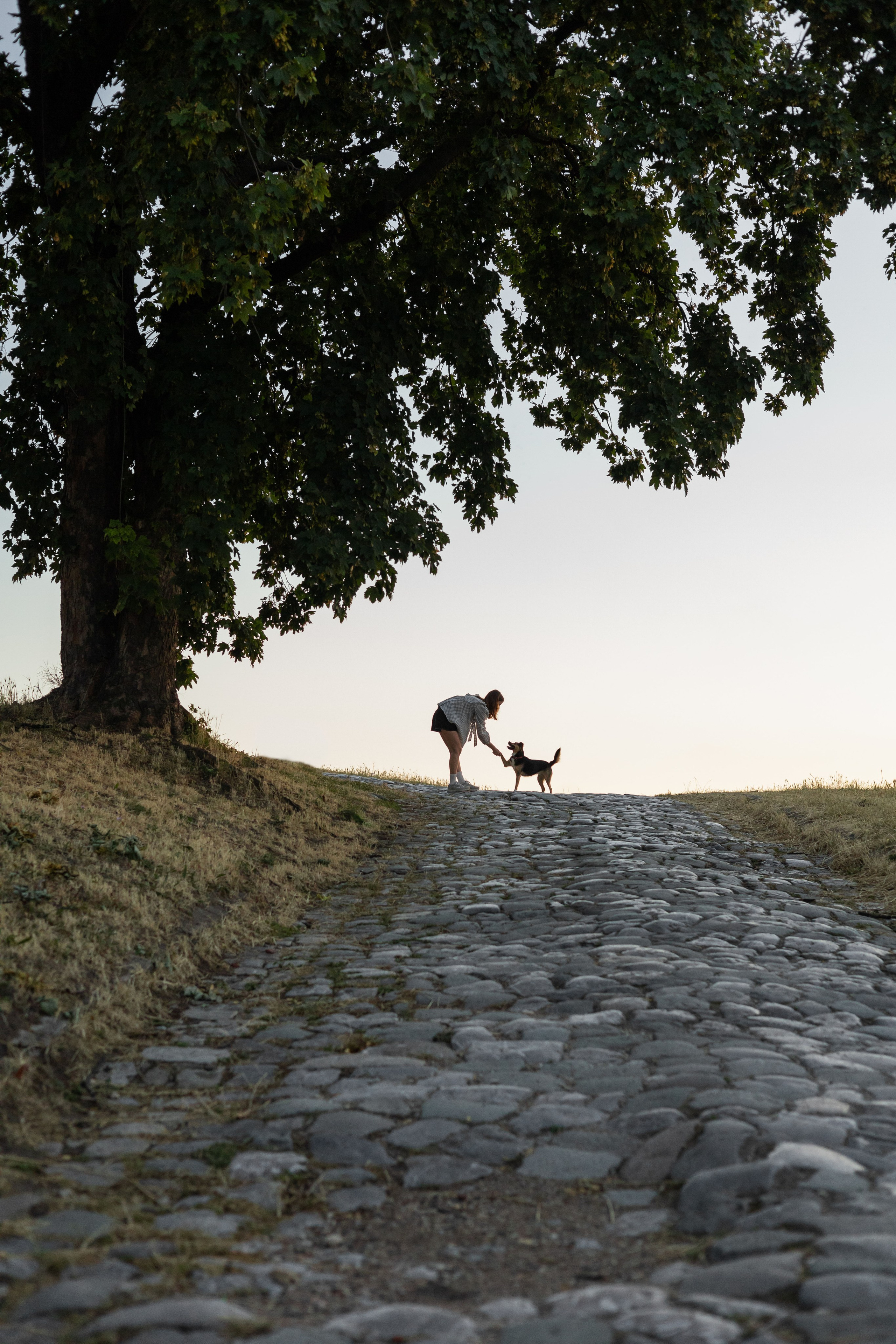 Настя, Денис и Мося. Фотограф-анималист | Белград