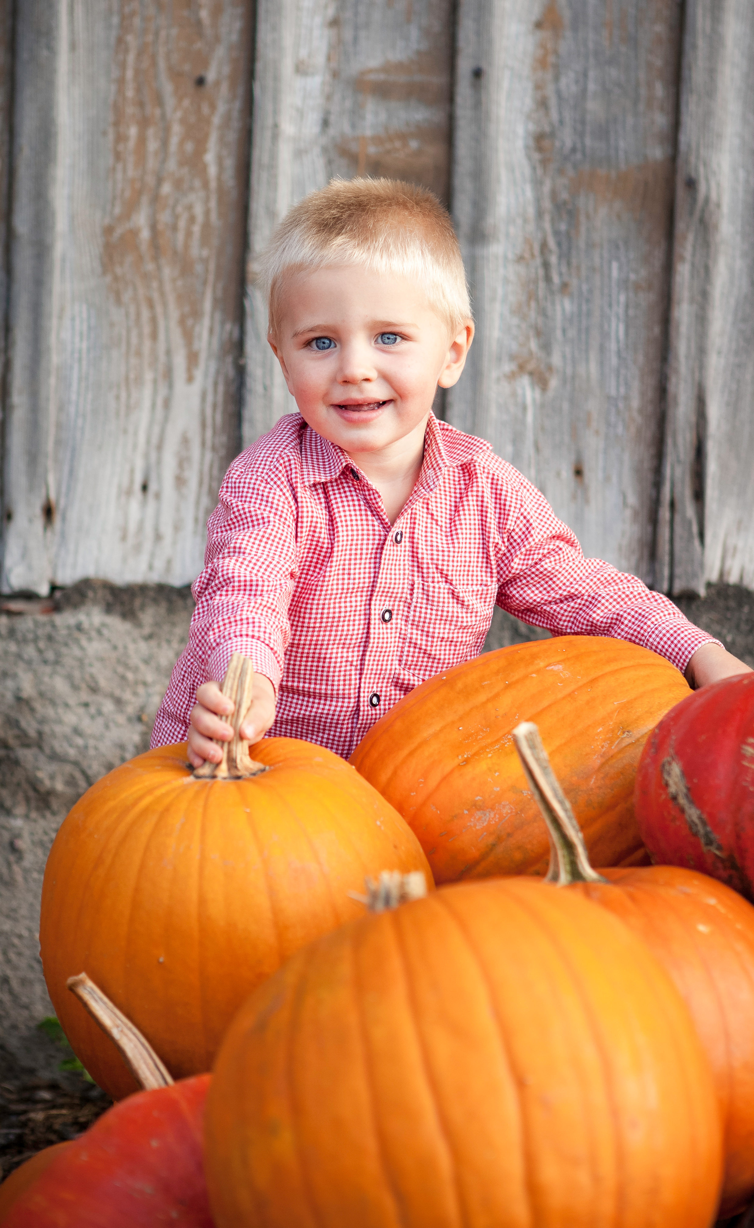Kinderporträt. Adelya Tomin