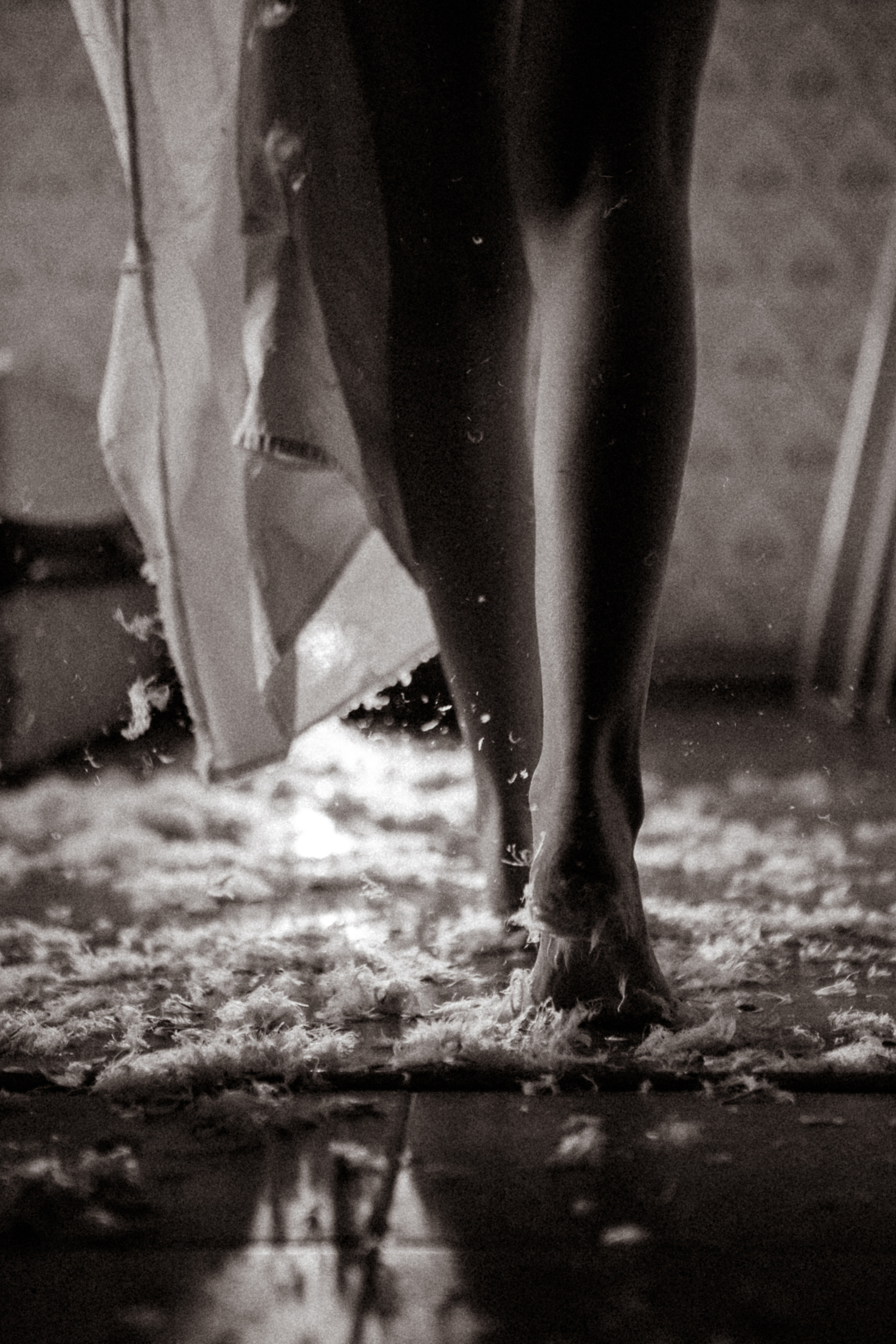 Vd 7. Fotograf Warszawa, Fotograf ślubny, Фотограф свадебный Варшава