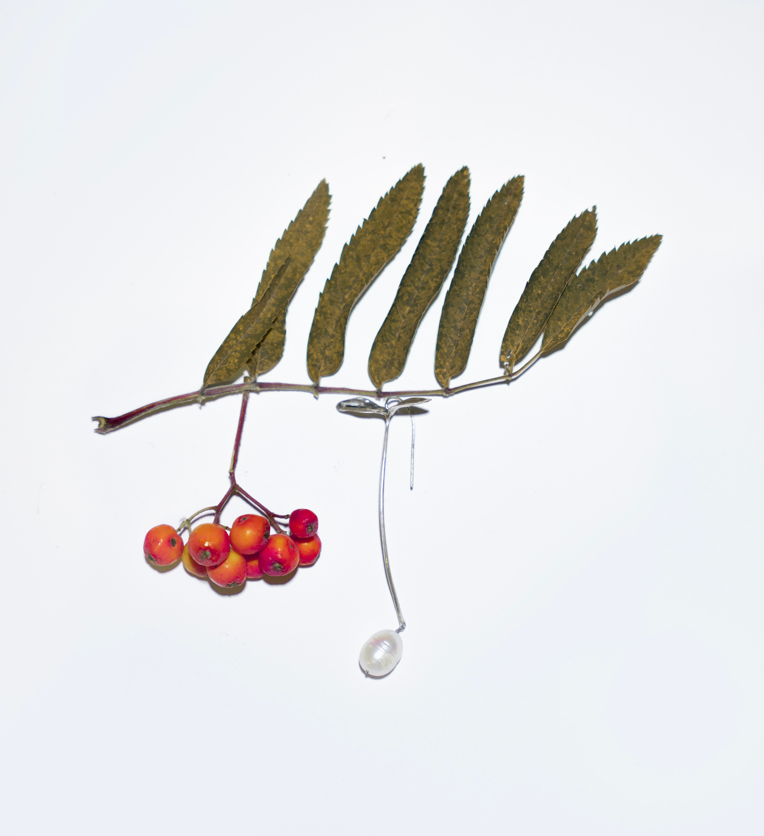 “ODD JEWELLERY”. Anna Omni — concept photographer and digital artist in Riga, Latvia