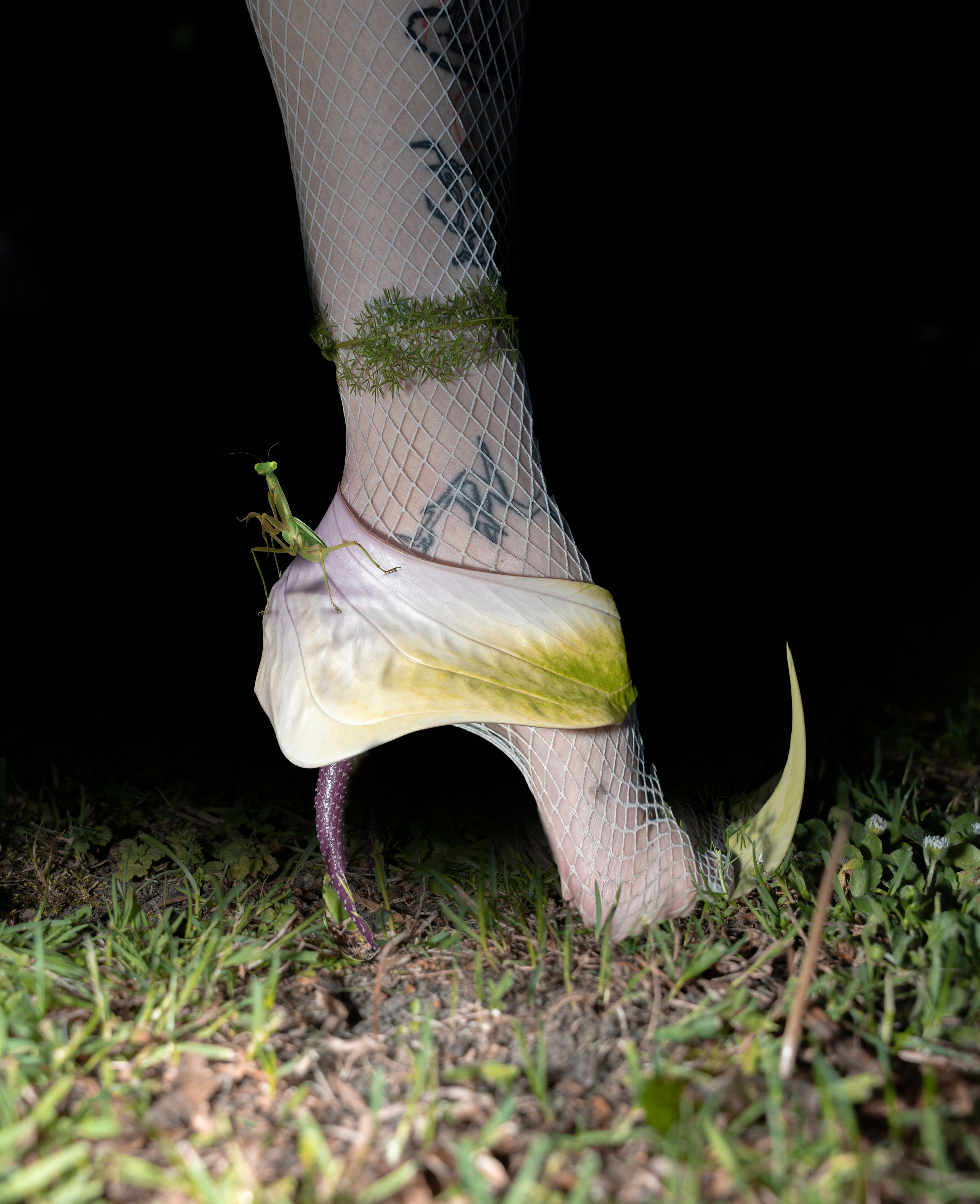 PORTFOLIO. Anna Omni — concept photographer and digital artist in Riga, Latvia