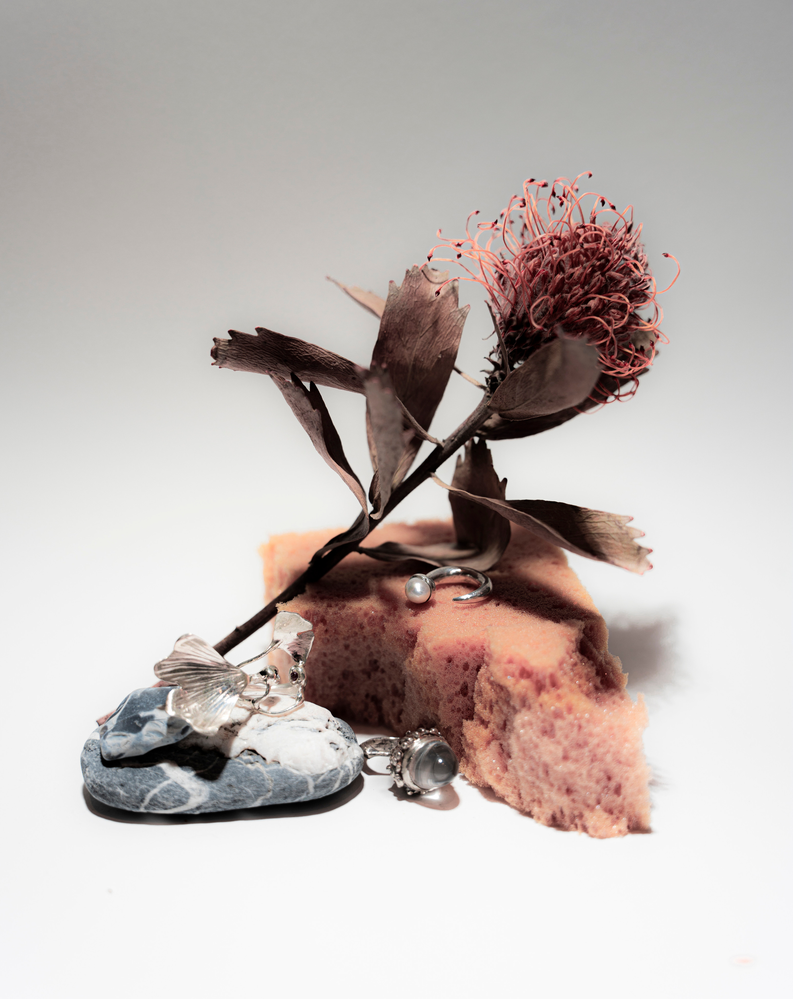 PORTFOLIO. Anna Omni — concept photographer and digital artist in Riga, Latvia