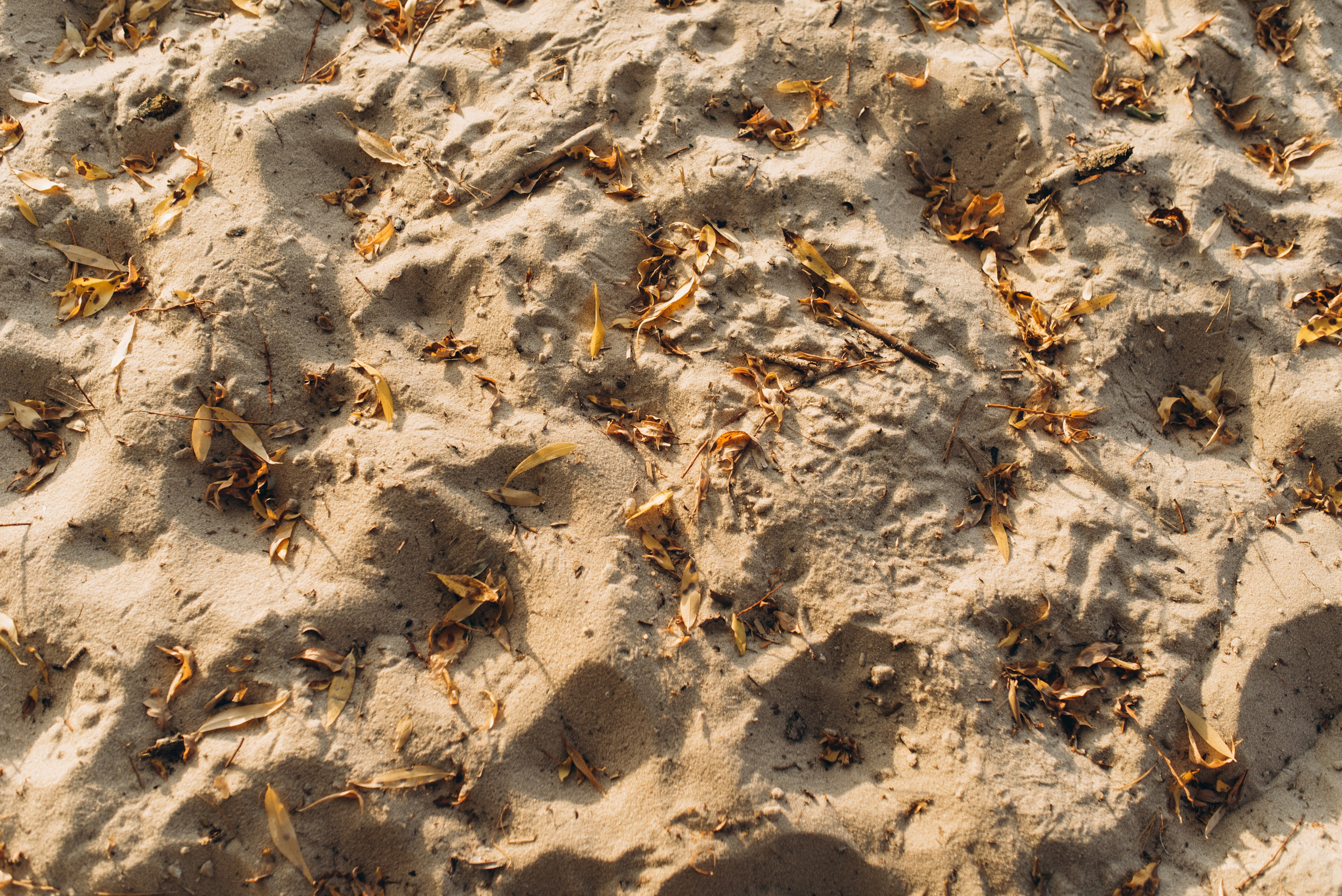 Tatjana & Mila. Familien- und Hochzeitsfotografin. Ich arbeite in Koblenz und Rheinlan