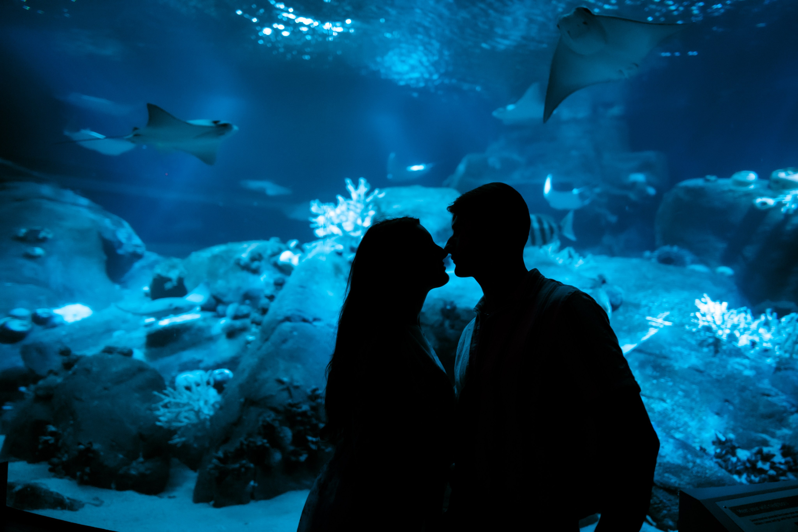 COUPLES. Ljova She Photography | This website is dedicated to wedding, couple, and proposal photography