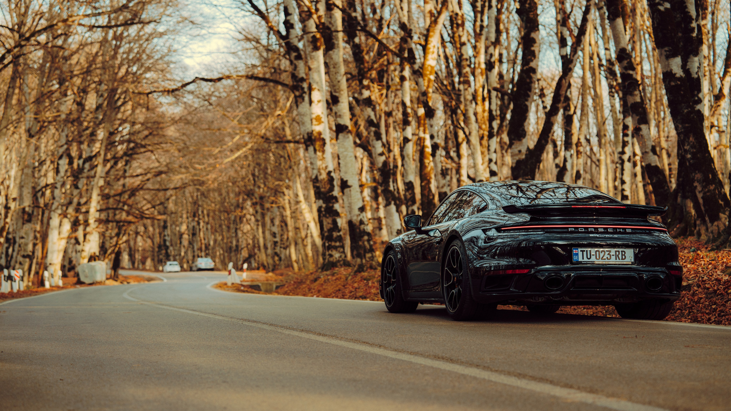 Porsche. Merabi Eminashvili