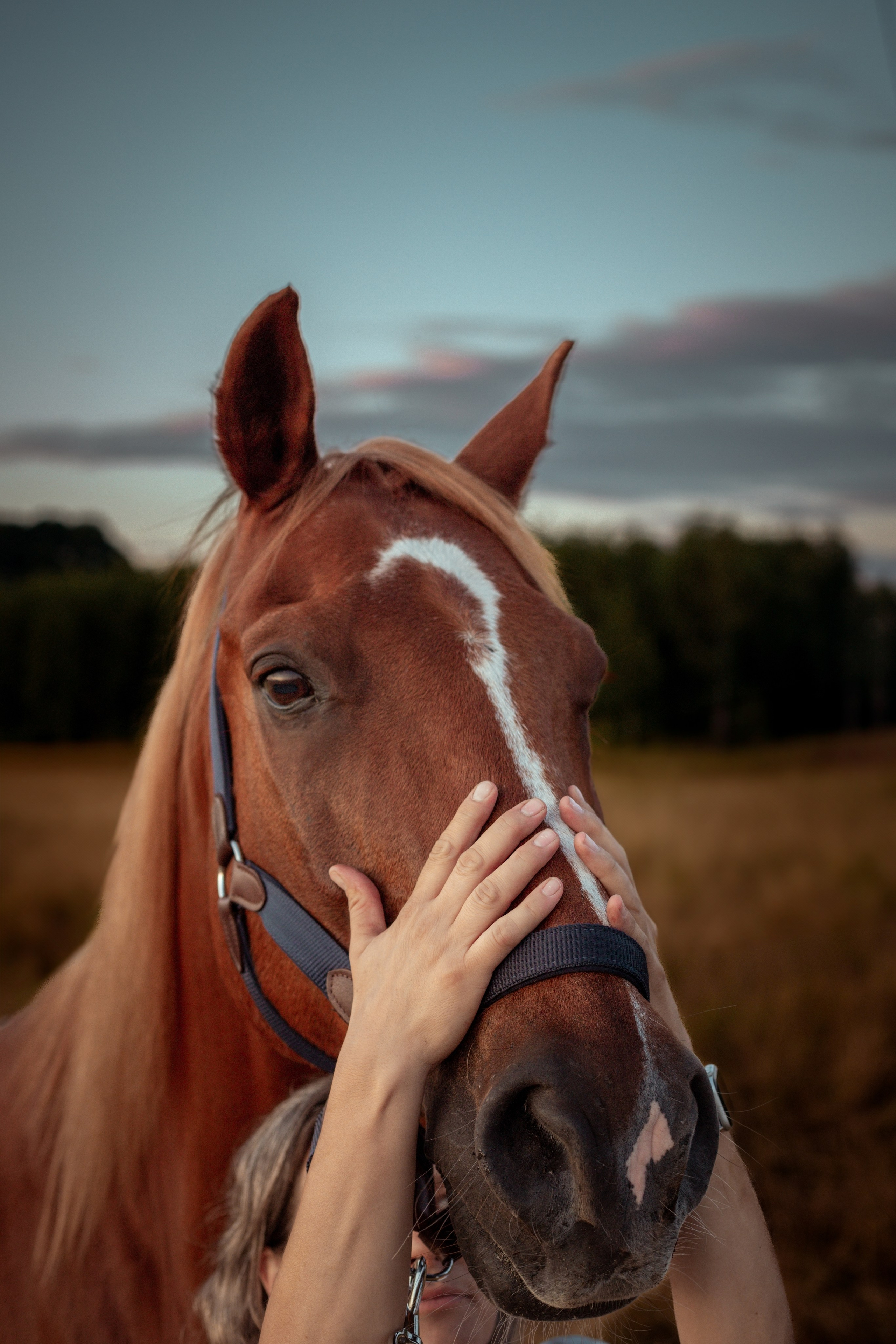 Portrait lovestory photographer Warsaw. Photographer Warsaw