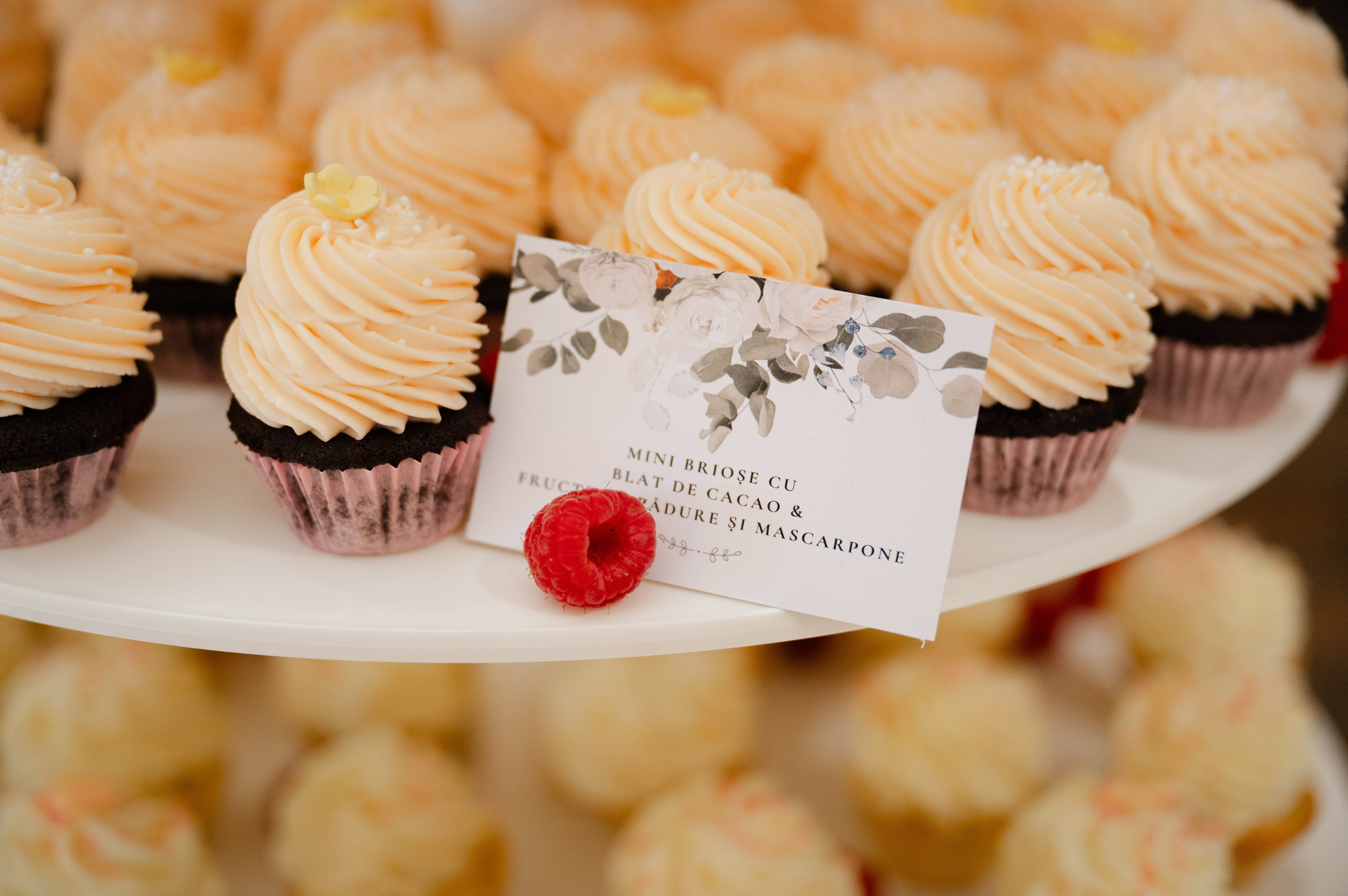 Ionela & Cătălin O Nuntă De Poveste La Conacul Heldsdorf | Happy Souls