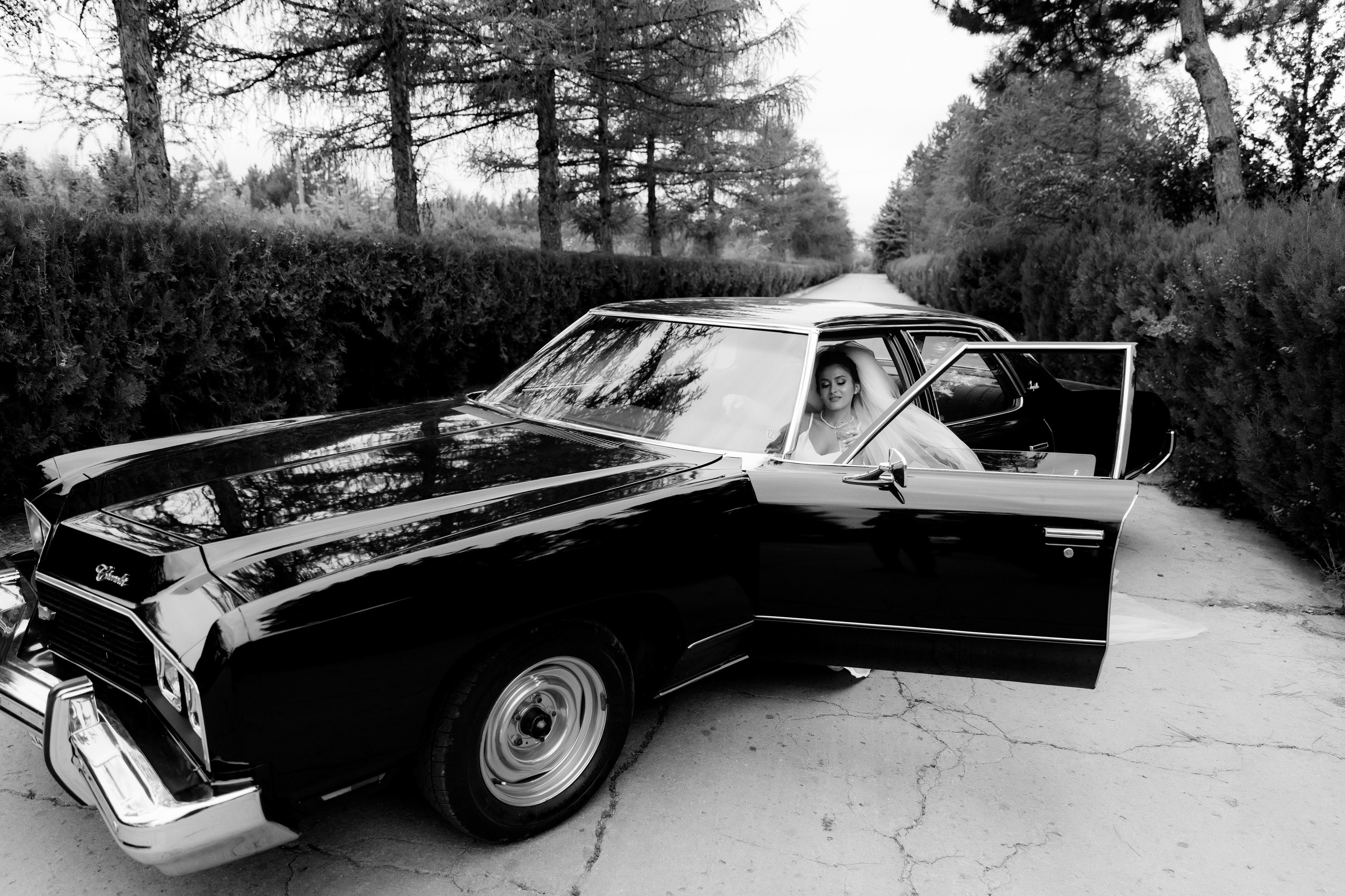 Wedding. Fulga Photographer