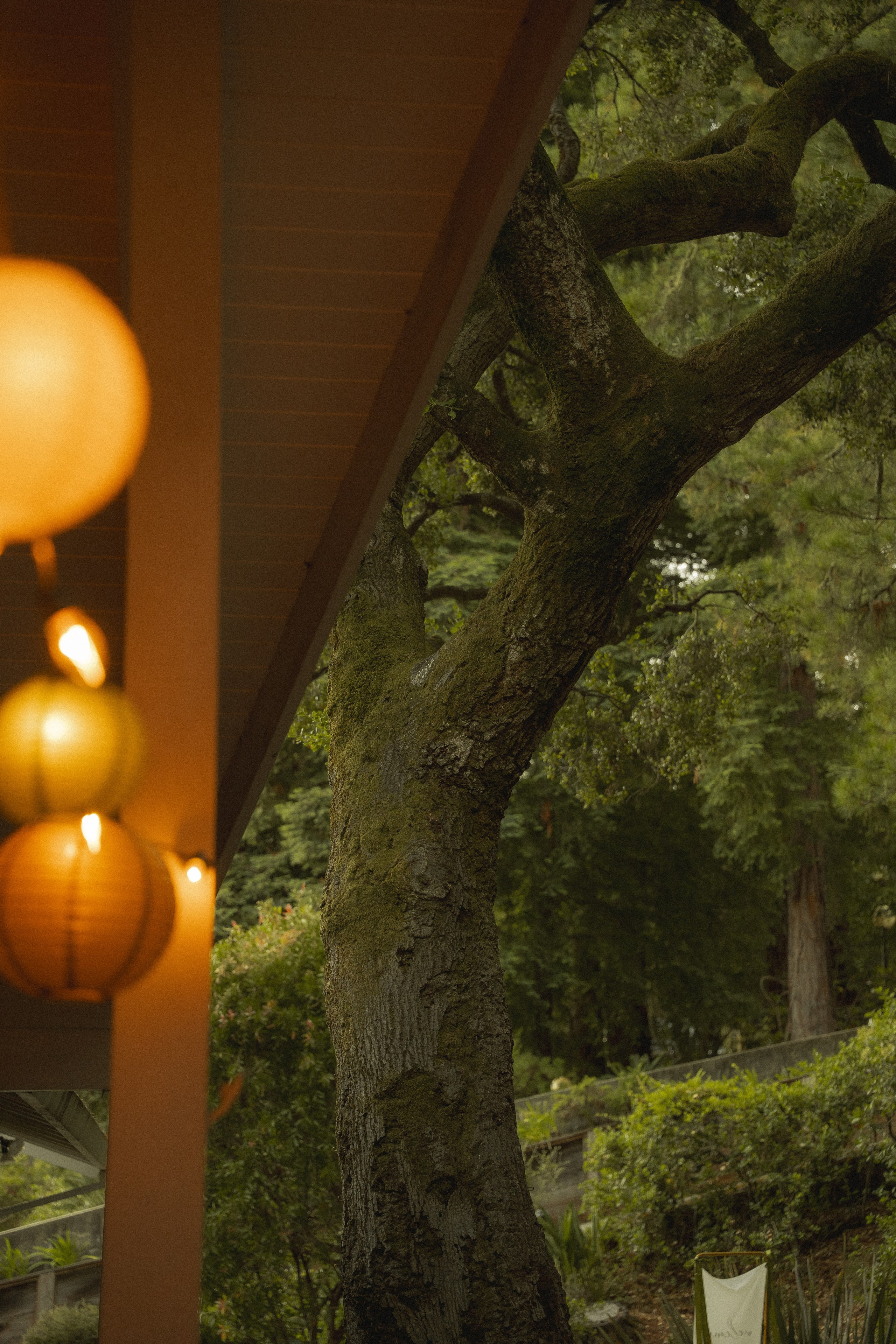 Wedding | San Francisco. San Francisco Wedding & Elopement Photographeк | photography_of.nadia