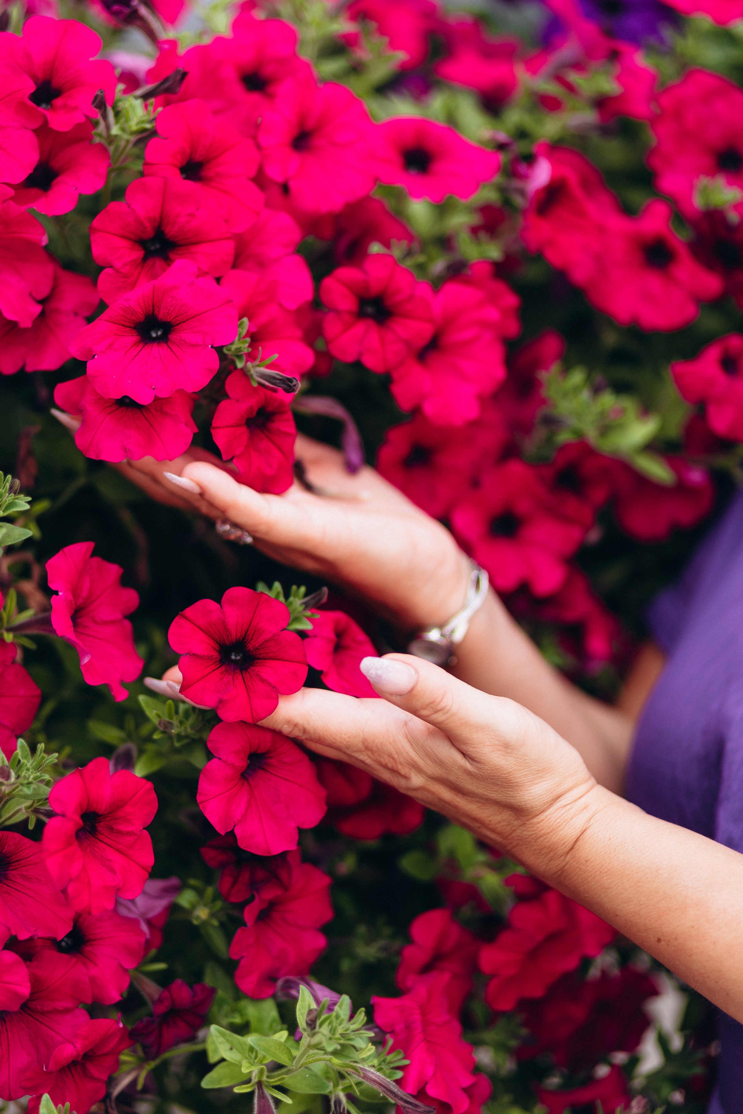 Olga and Familie. Wedding and Family Photograph