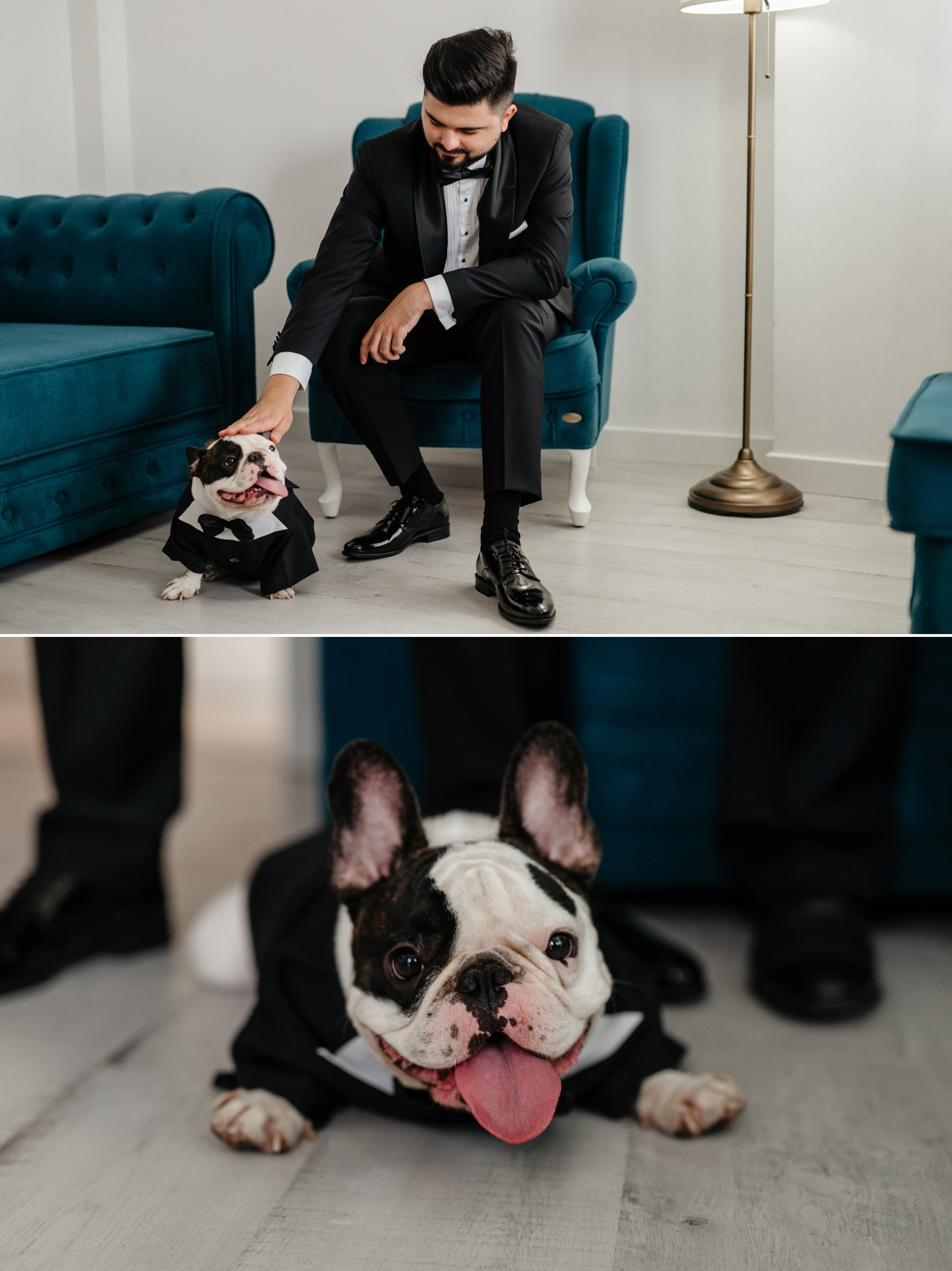 Nunta in aer liber. Nunta Ikim Andrei si Ana la Congress Hall Pallas. Proud Vision Weddings | Wedding Photography & Film — Servicii profesionale Foto Video Nunta Iasi