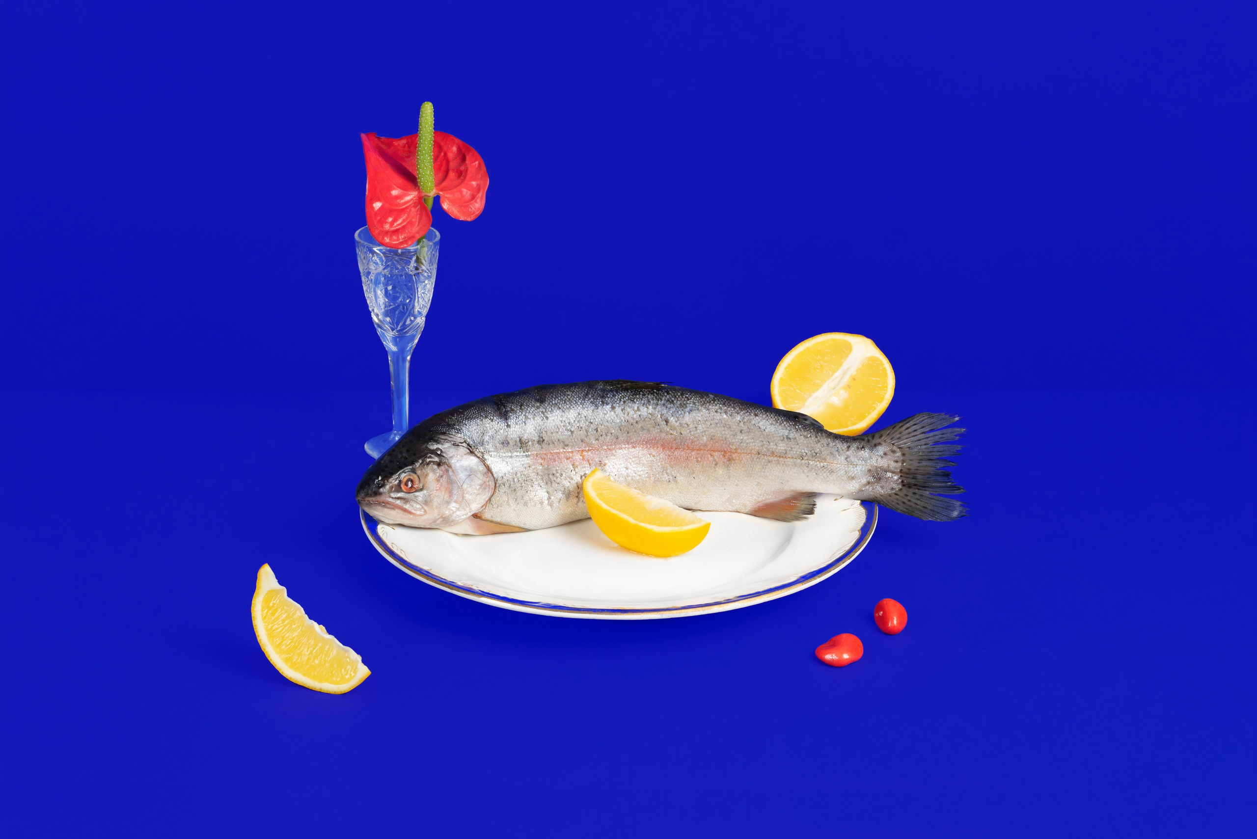 Tinkoff journal. Photographe de produits et natures mortes à Paris