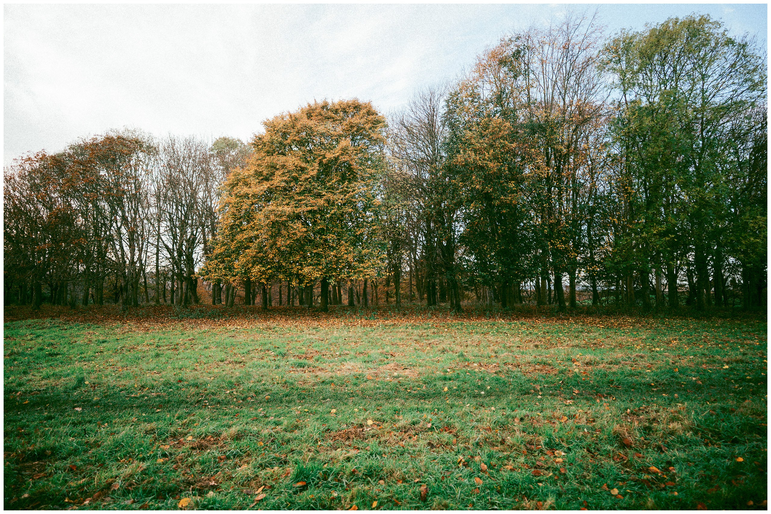 IRELAND. Inna Mendelson — Photographer