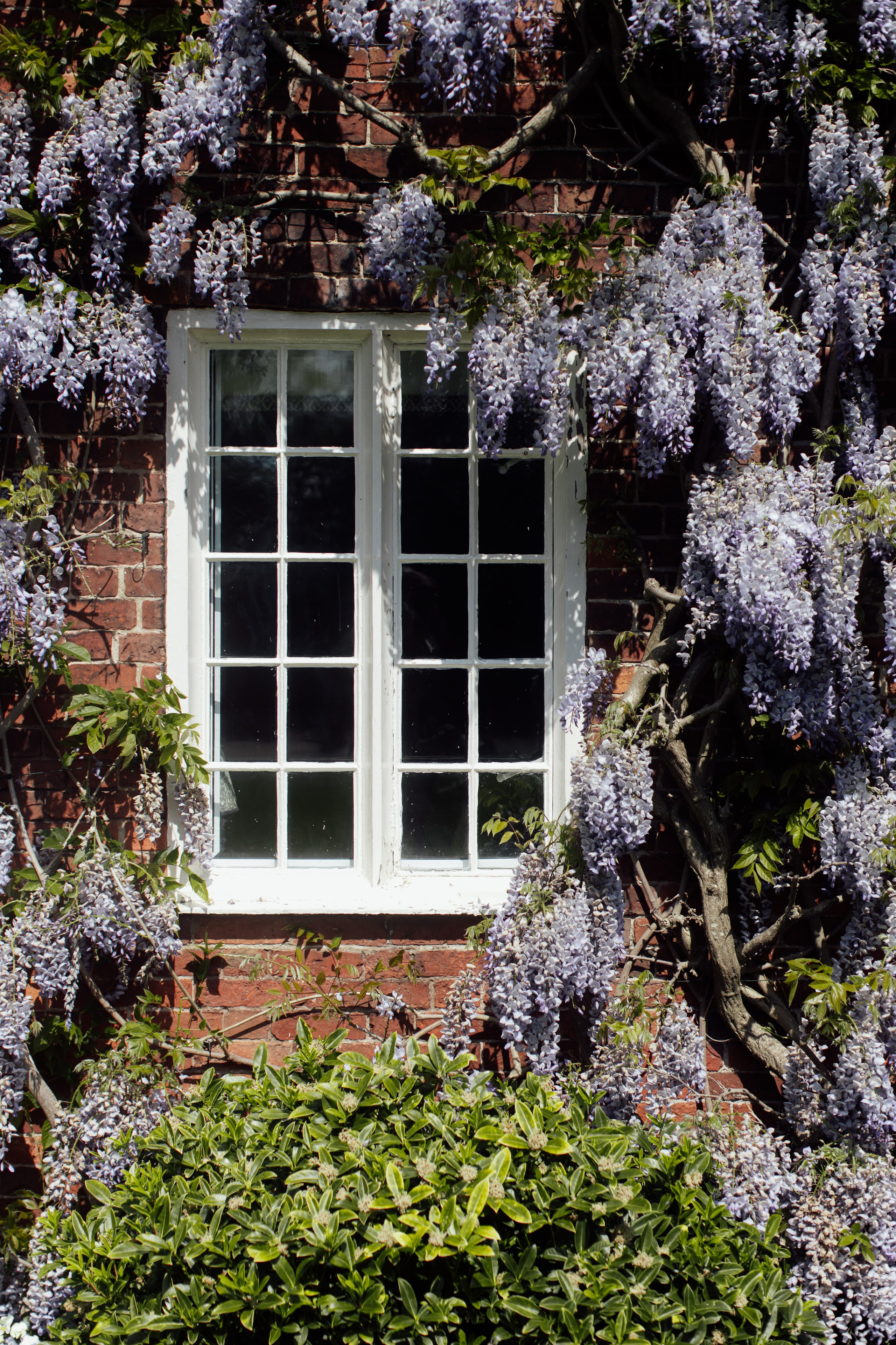 Arley Hall & Gardens, Northwich. 2025. Timeless Wedding & Events Photography. Based in London, working across Europe