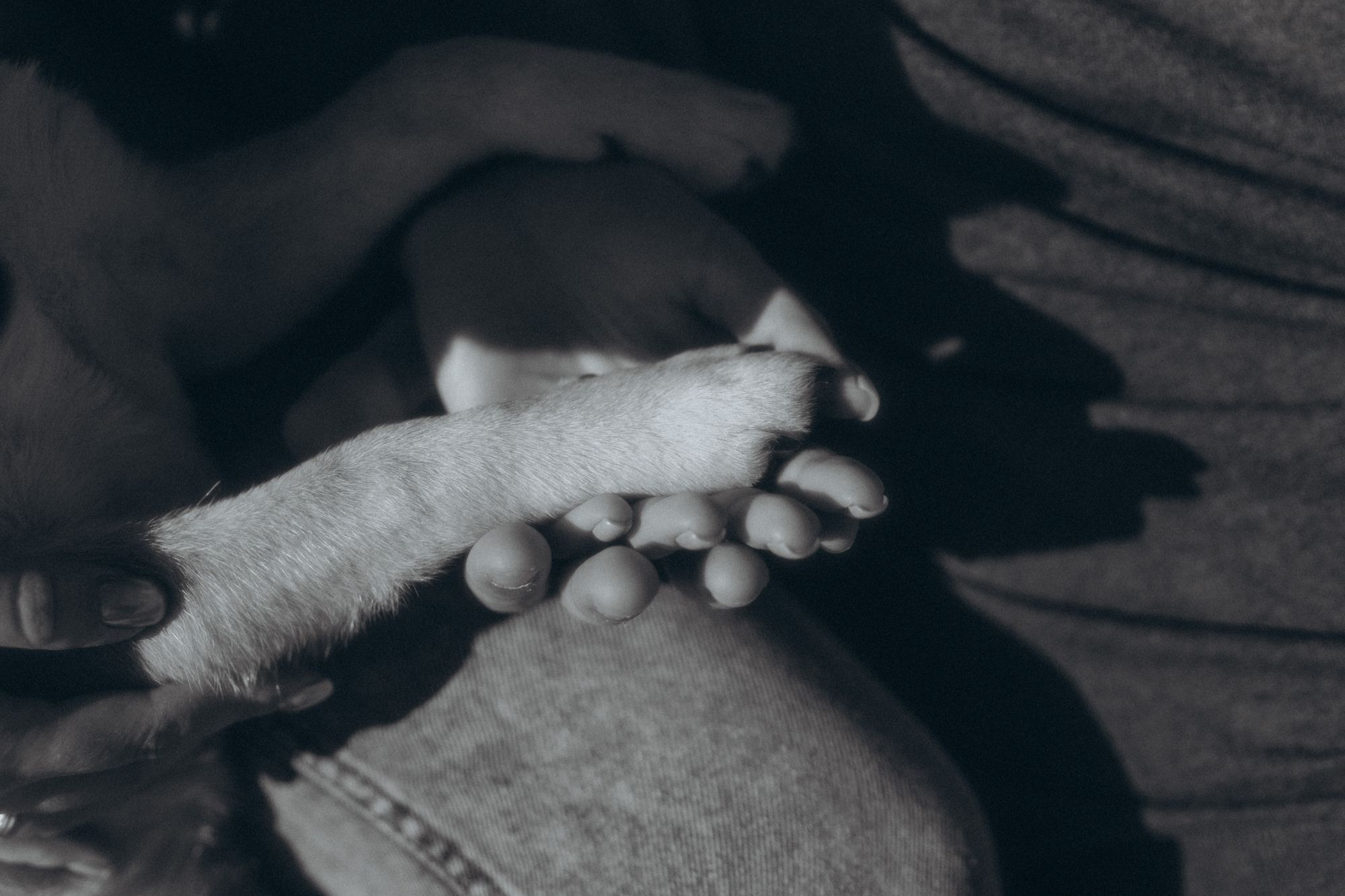 Андрей, Полина и Кана. Фотограф Мила Ромашкина