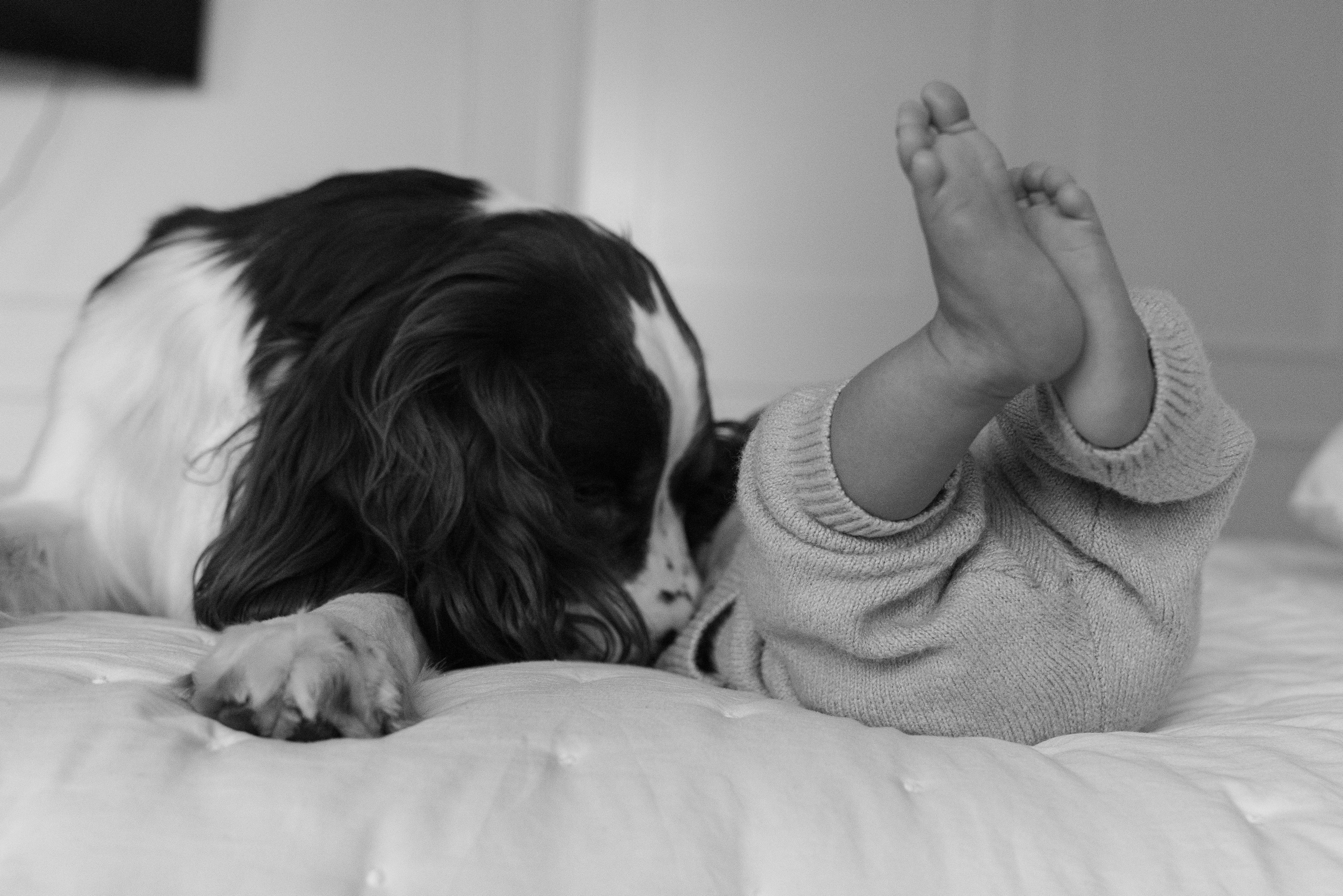 Newborn Shoot. Baby Boy Lucas. Portrait, family, maternity & wedding photography & videography in SoCal Kseni Vibe