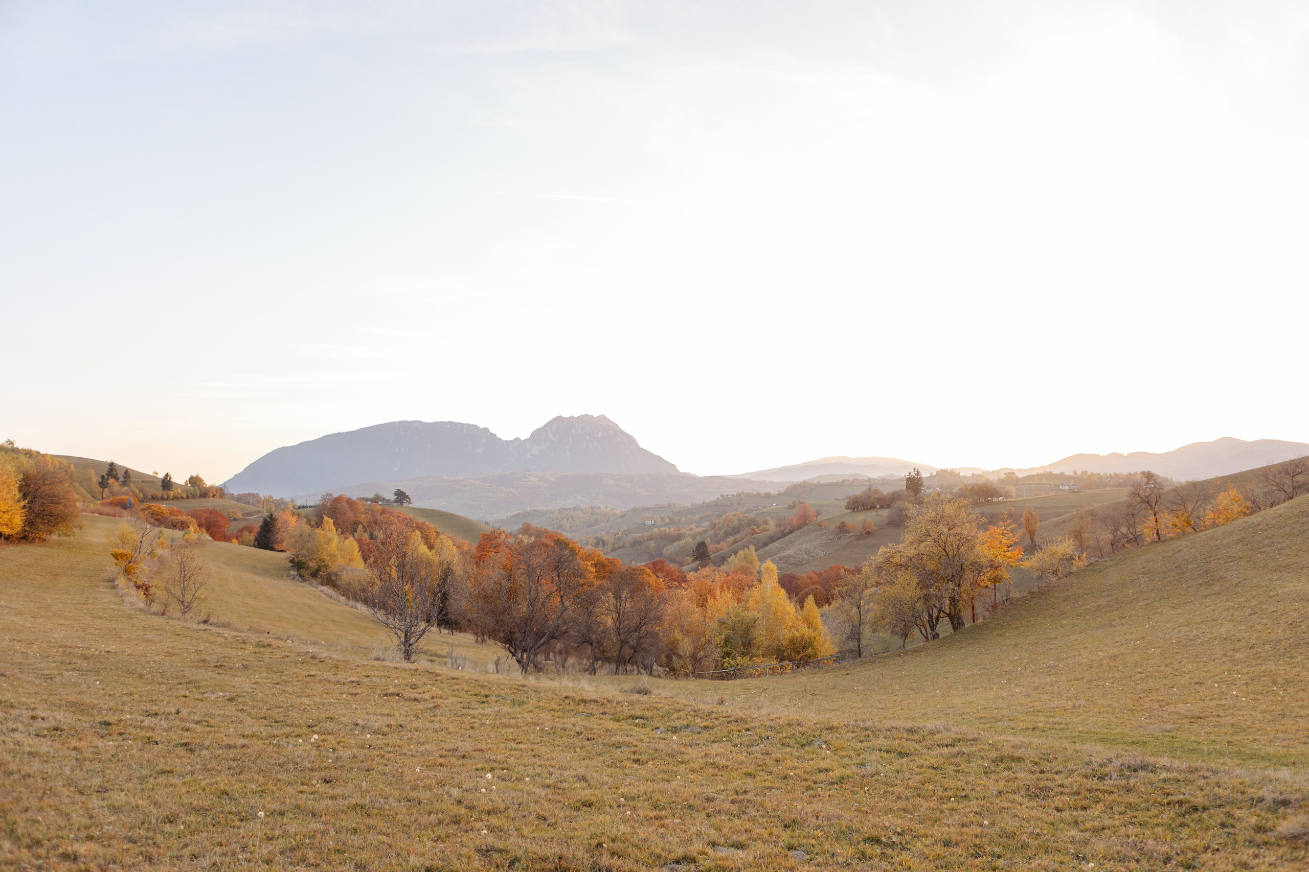 Ioana & Gigi. Cristina Andronache fotograf Brașov fotograf de familie fotograf de nunta Brașov