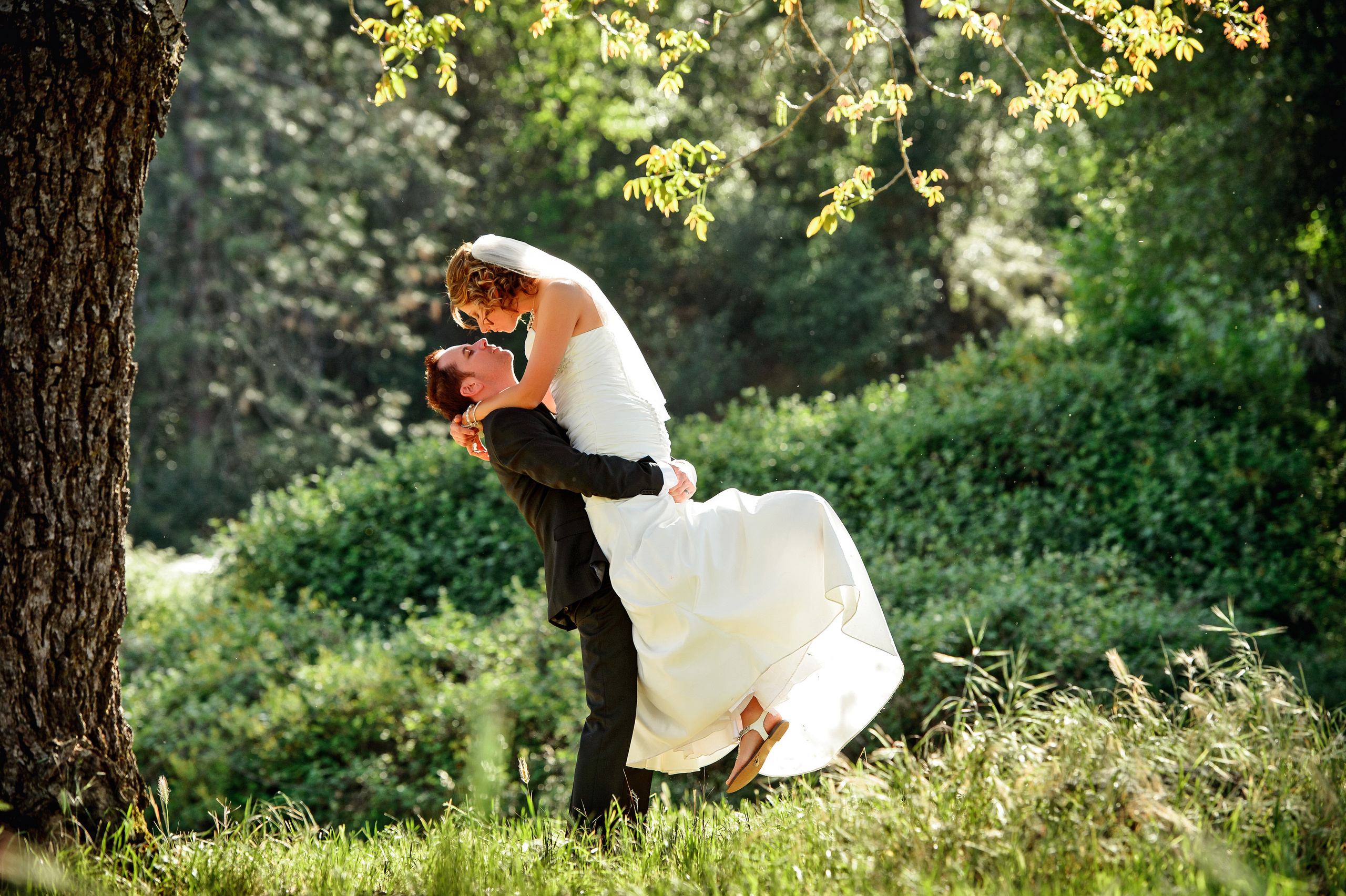 Mike Karpekin Photography — Sacramento Wedding & Portrait Photographer