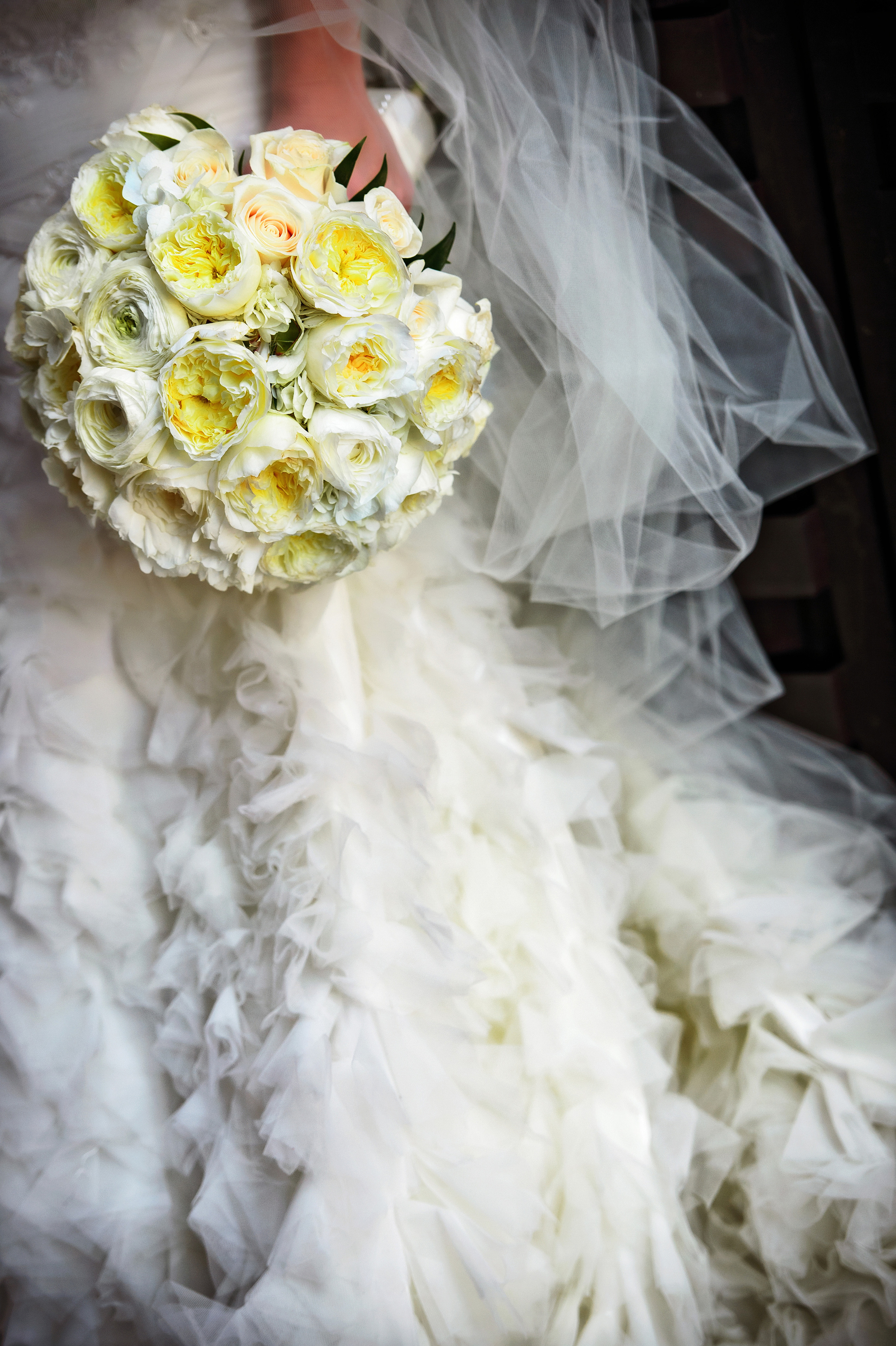 Mike Karpekin Photography — Sacramento Wedding & Portrait Photographer