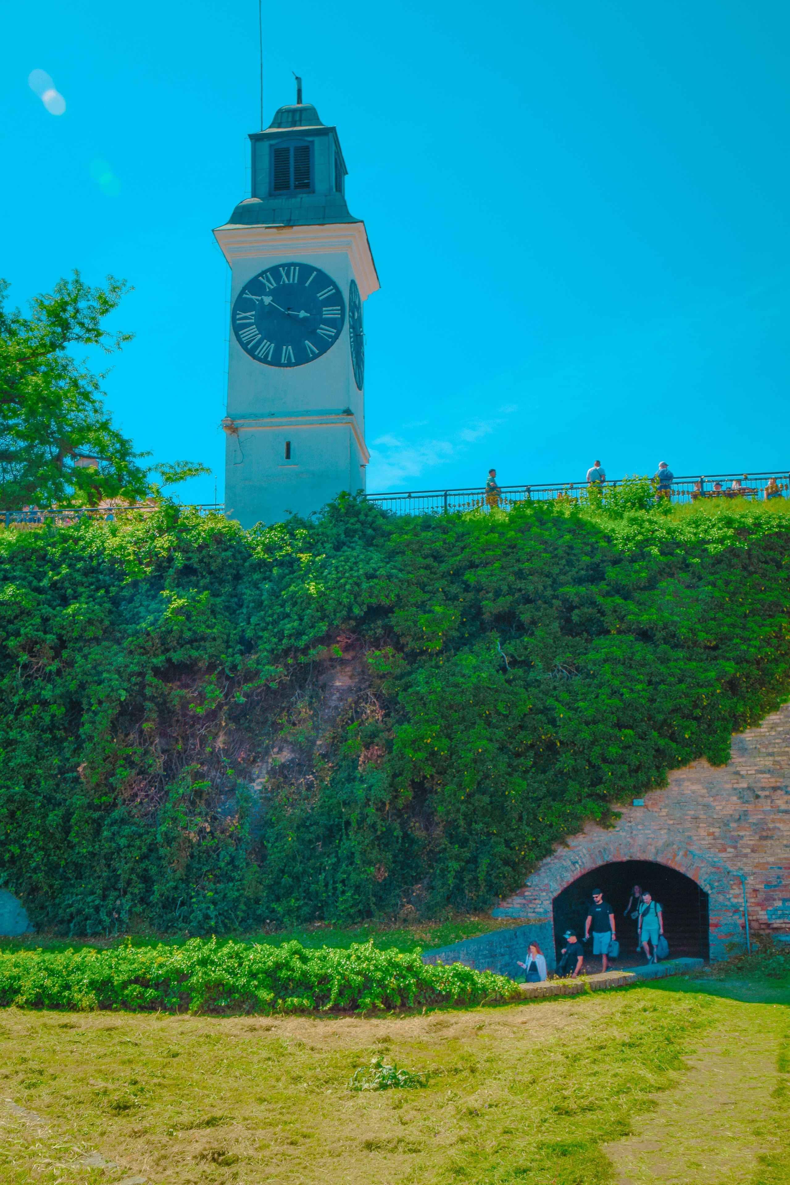 Петроварадин - галерија на продају. Викторија Федосеенко, фотограф у Србији