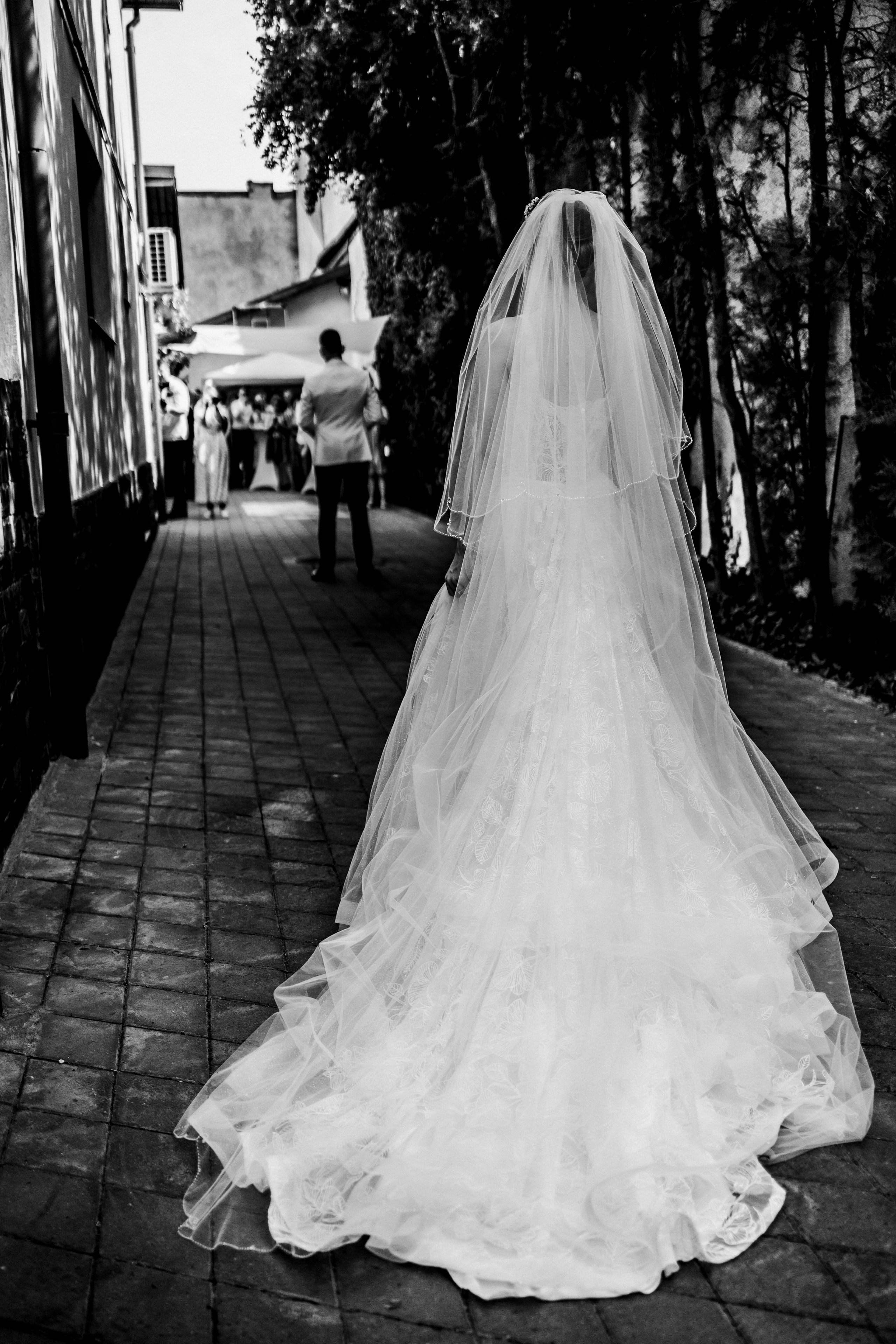 Anna & Vlad. Fotograf de nuntă Alex Pasarelu