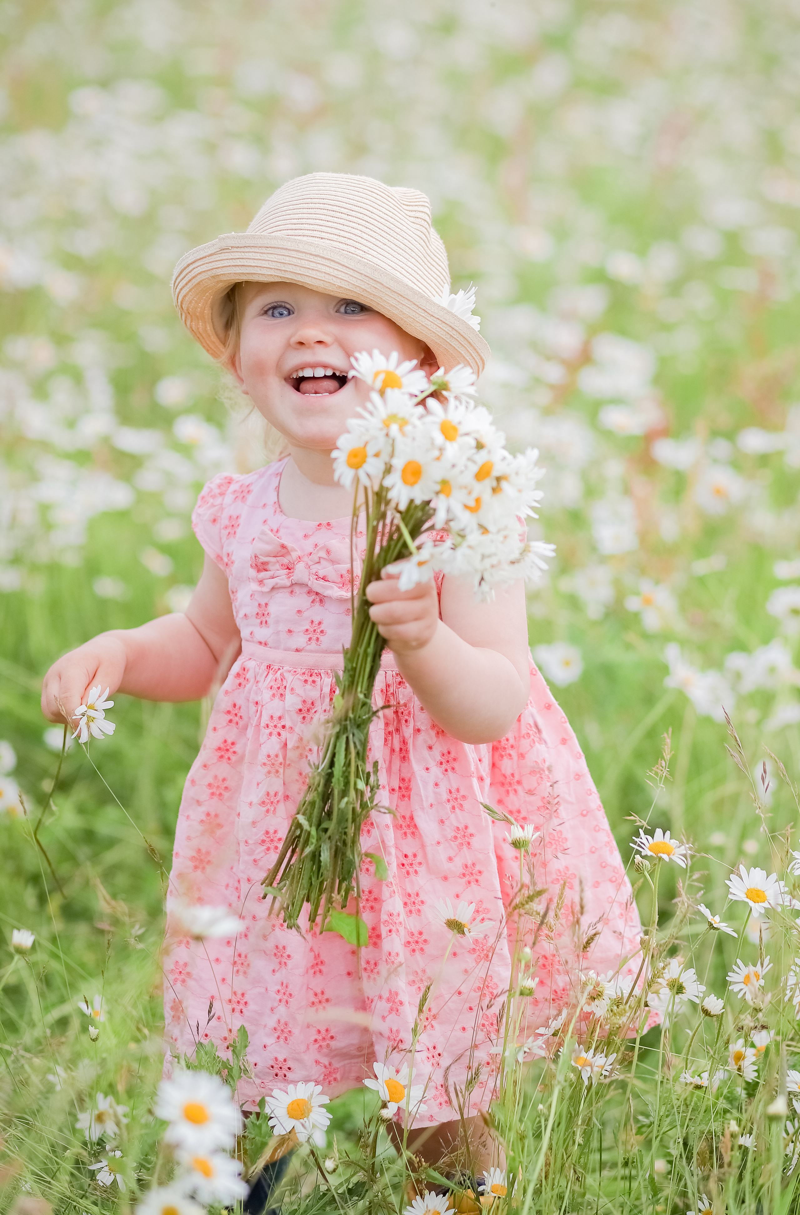 Daisies. Family & children’s photographer in Herts & West London Iryna Blair