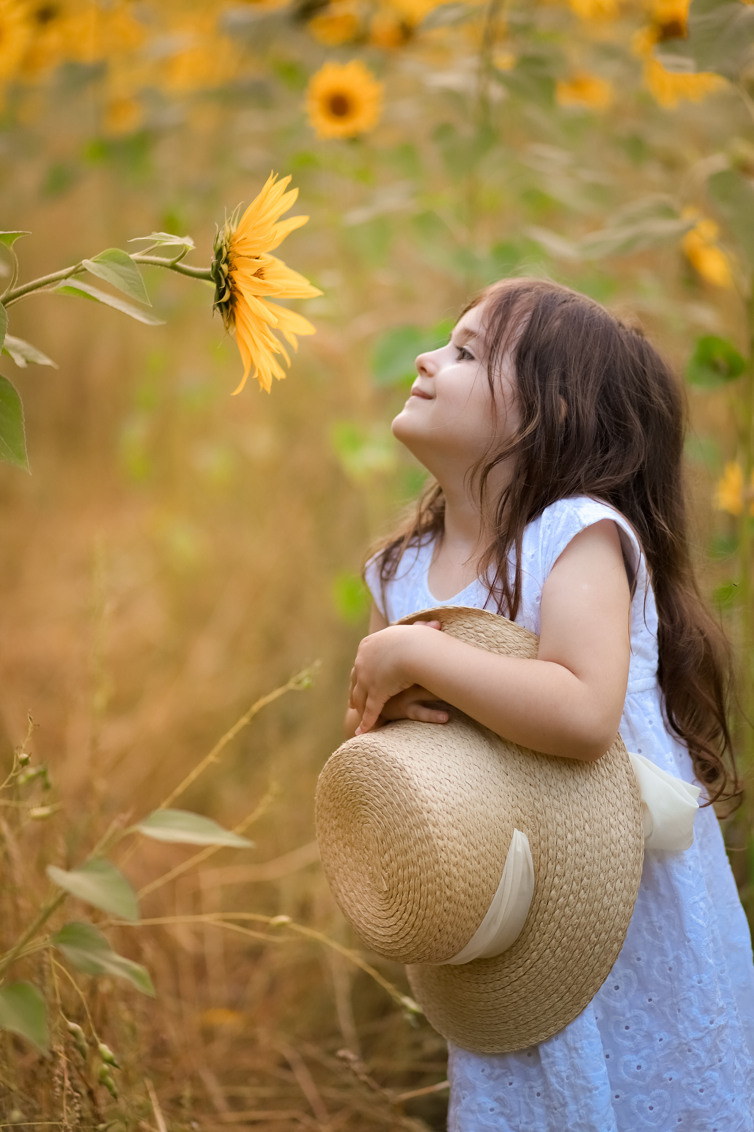 Sunflowers. Family & children’s photographer in Herts & West London Iryna Blair