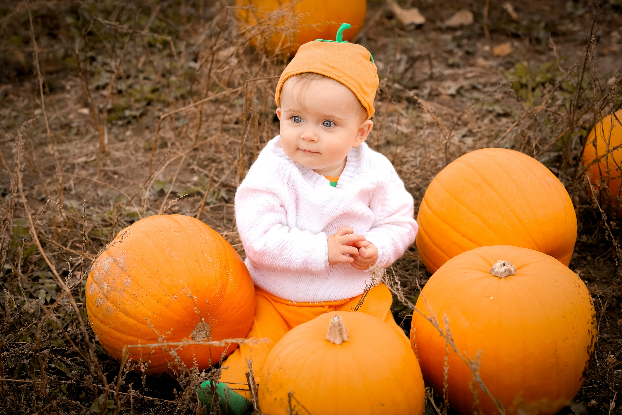 Pumpking. Family & children’s photographer in Herts & West London Iryna Blair