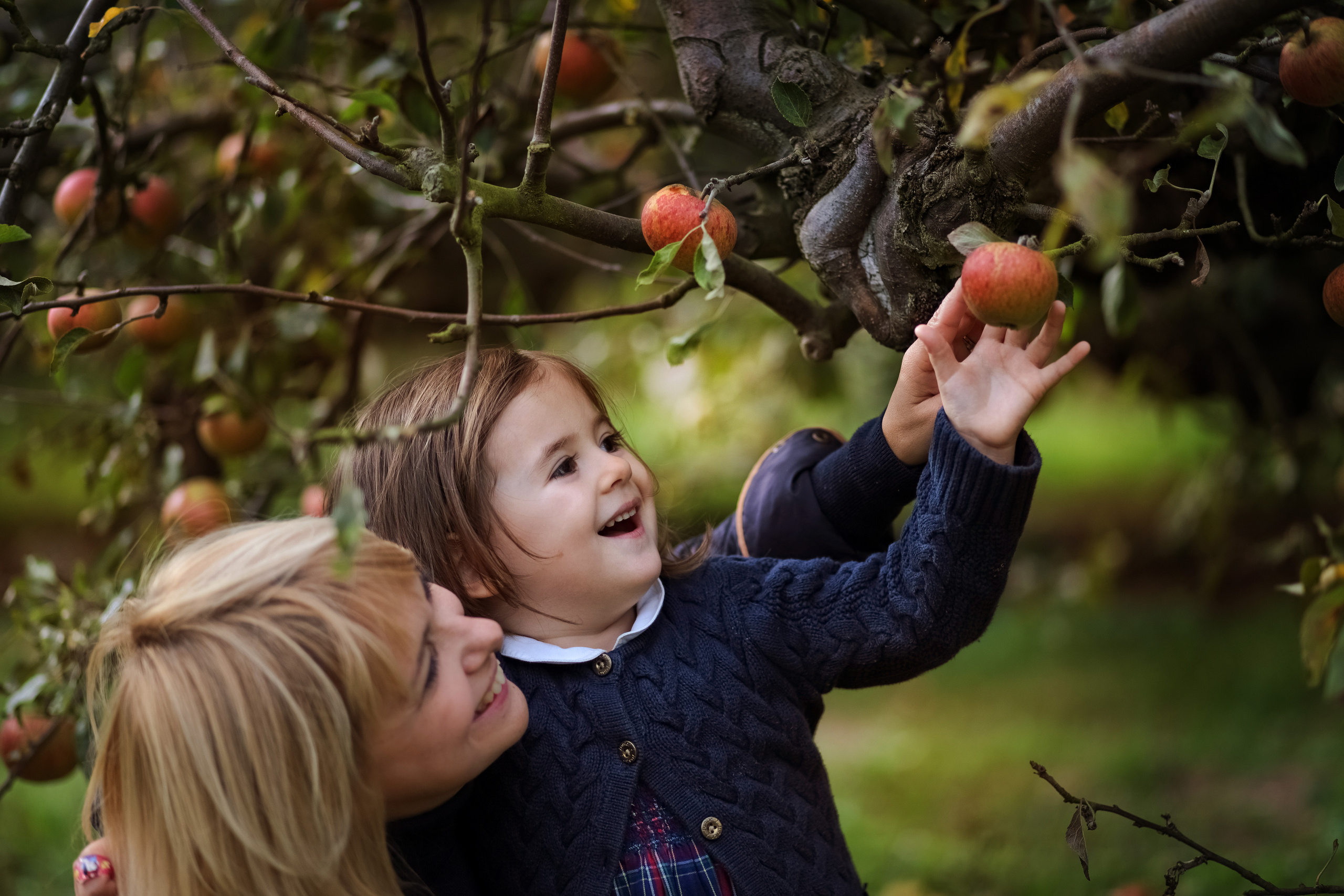 Apples. Family & children’s photographer in Herts & West London Iryna Blair