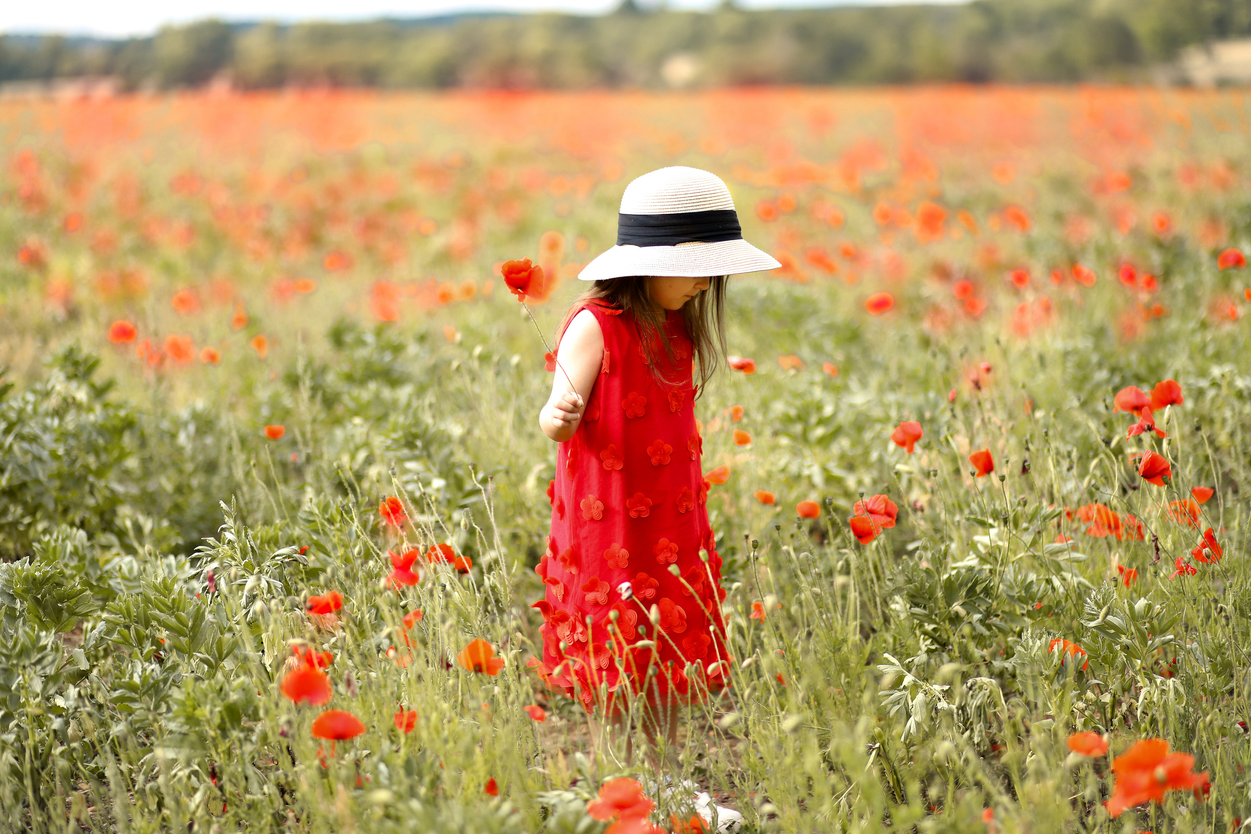 Poppies. Family & children’s photographer in Herts & West London Iryna Blair