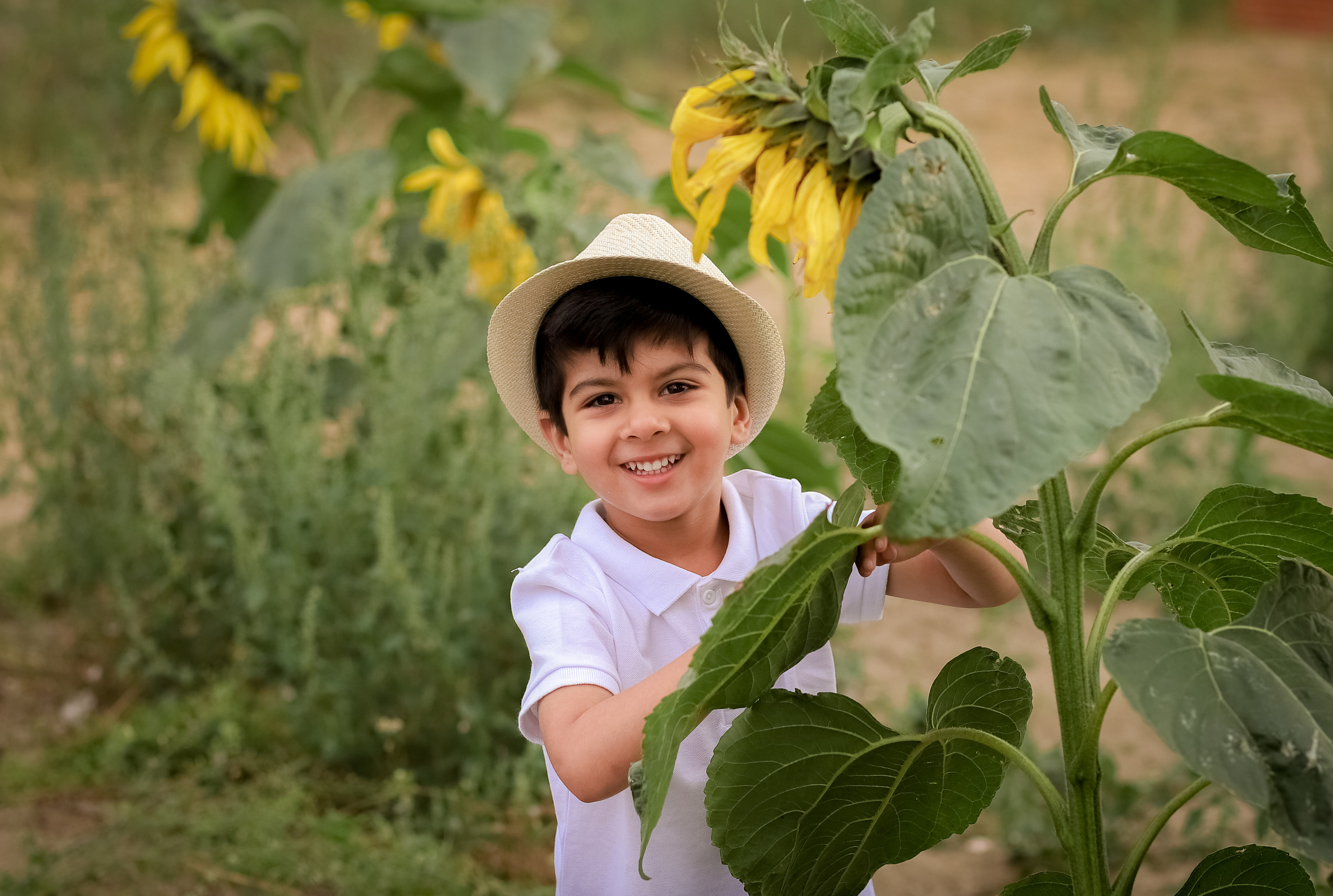 Sunflowers. Family & children’s photographer in Herts & West London Iryna Blair