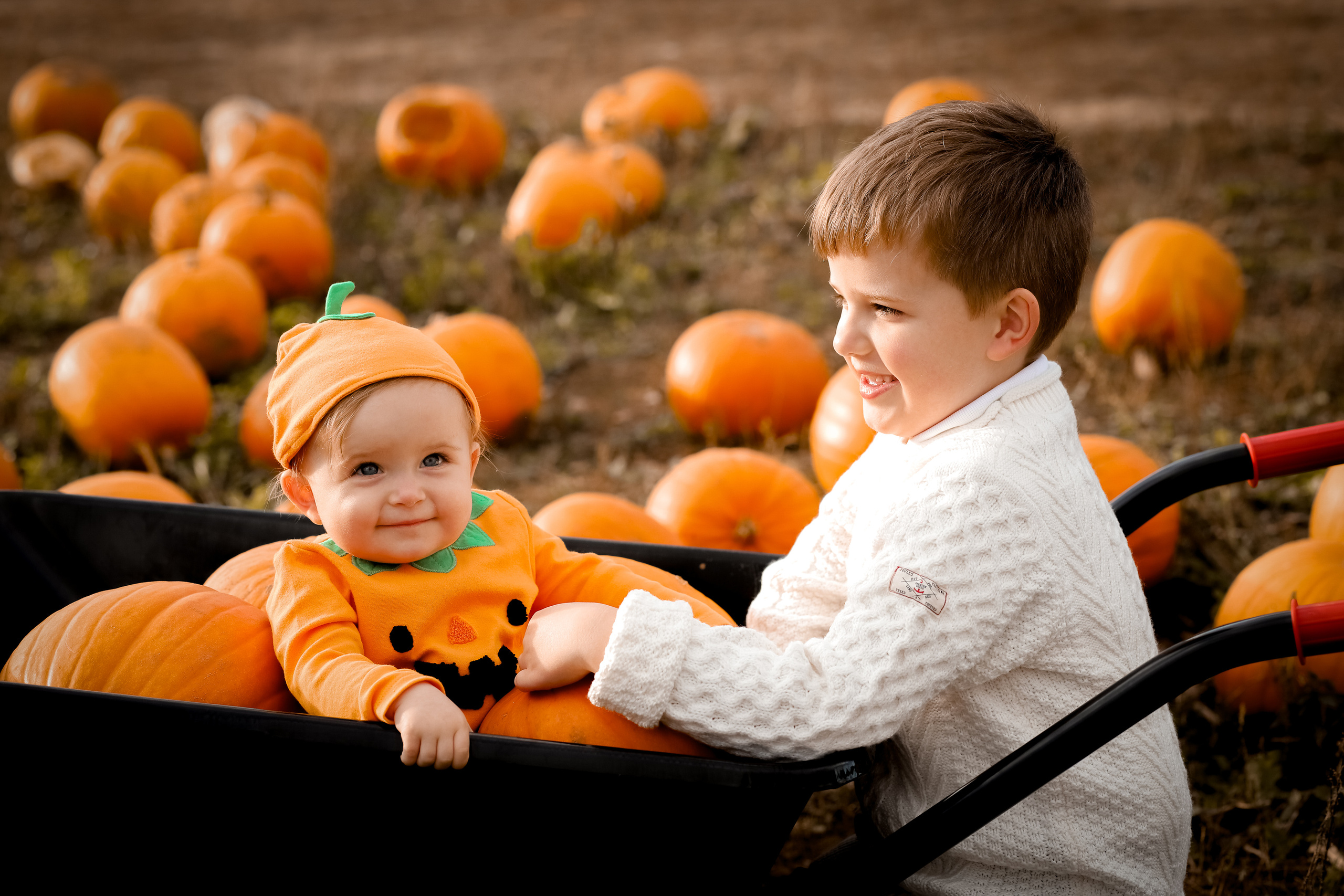 Pumpking. Family & children’s photographer in Herts & West London Iryna Blair