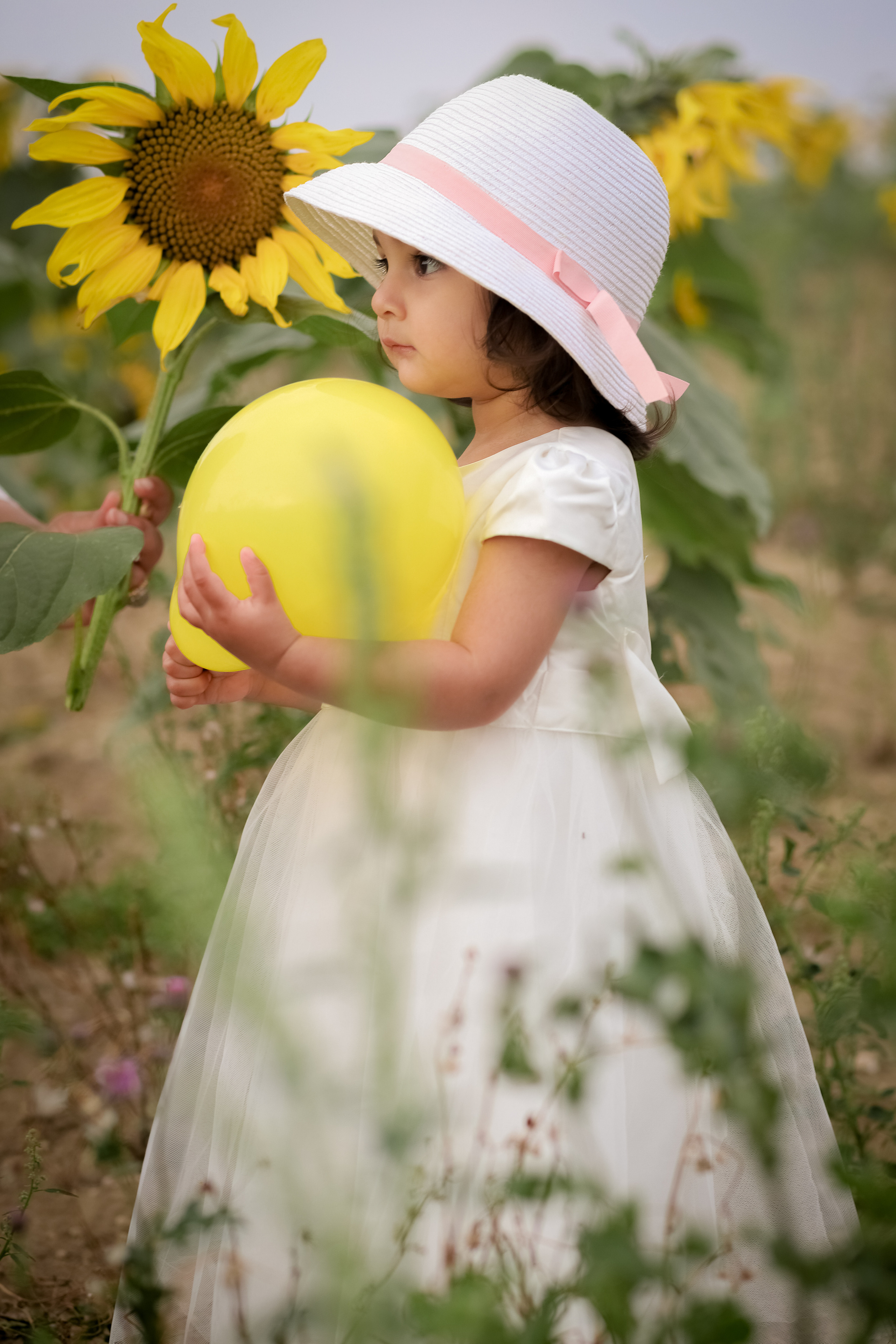 Sunflowers. Family & children’s photographer in Herts & West London Iryna Blair