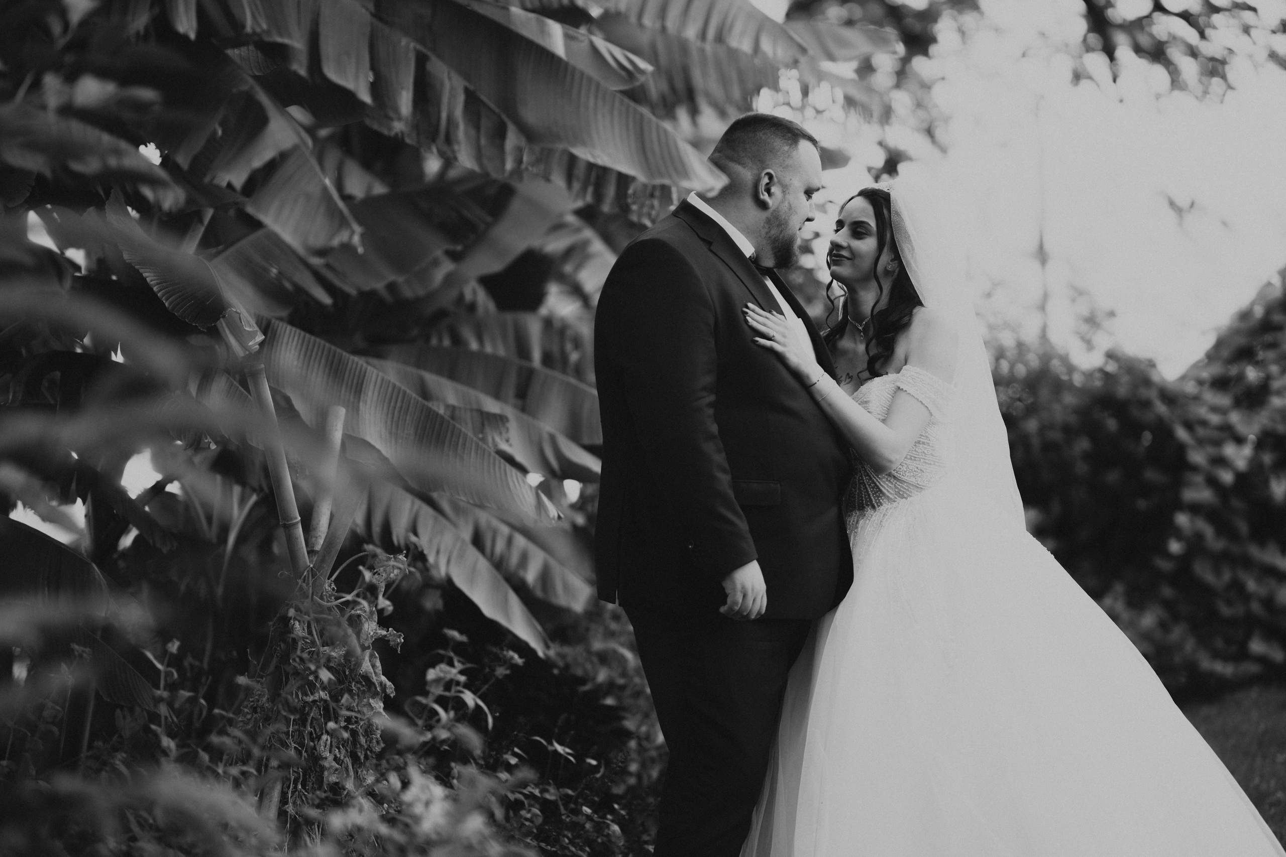 Alexandra & Mario. Fotograf de nuntă în Germania