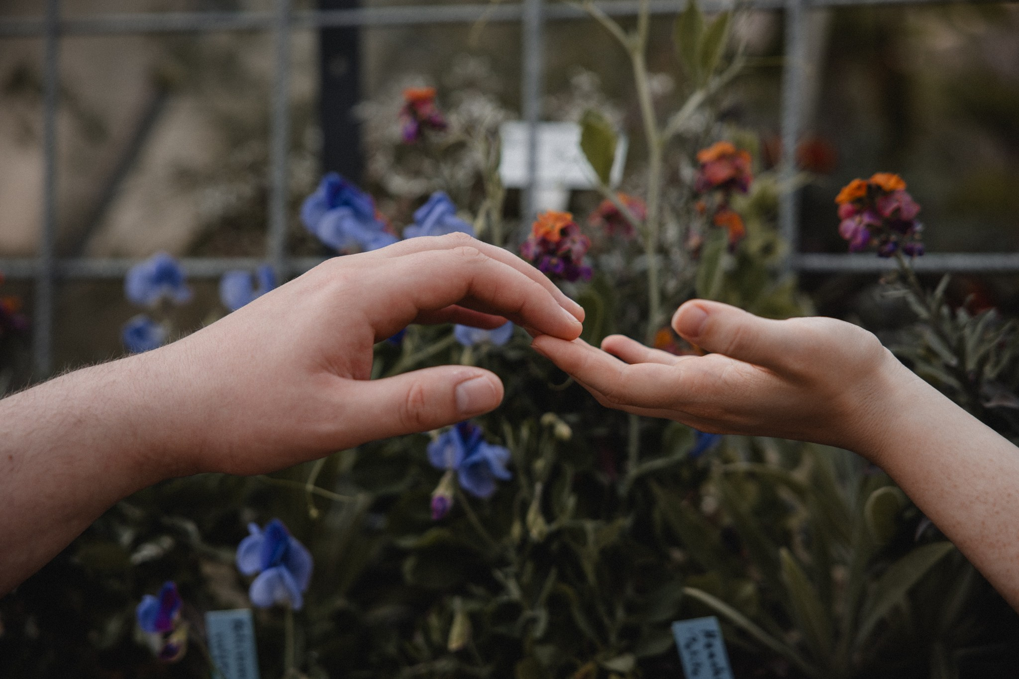Morena & Niklas. Photographer in Bochum Dolia Halyna