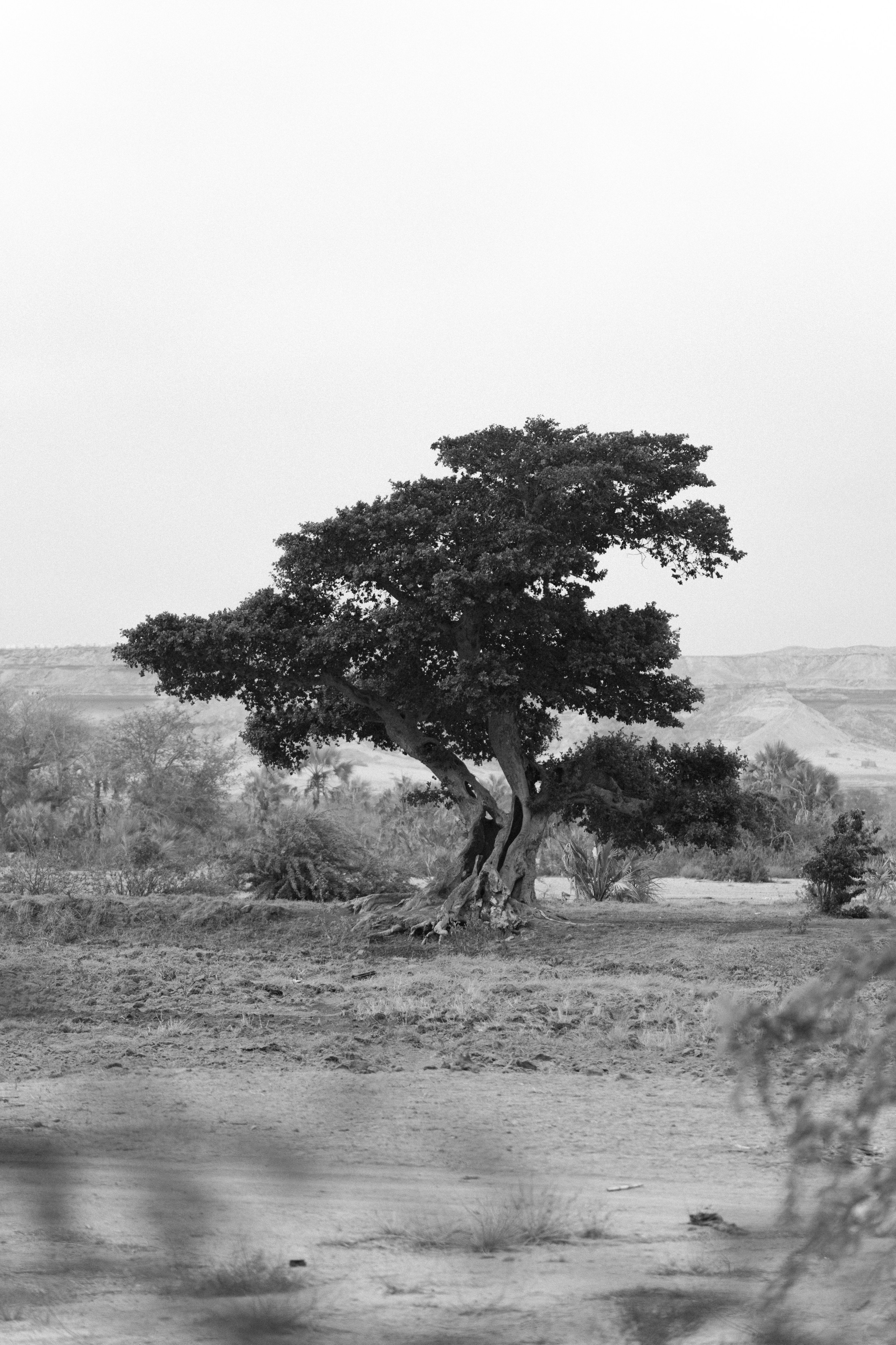 Namibe, Angola 2025 — Projeto Raízes. Fotógrafo e Videógrafo em Lisboa — Júlio da Silva