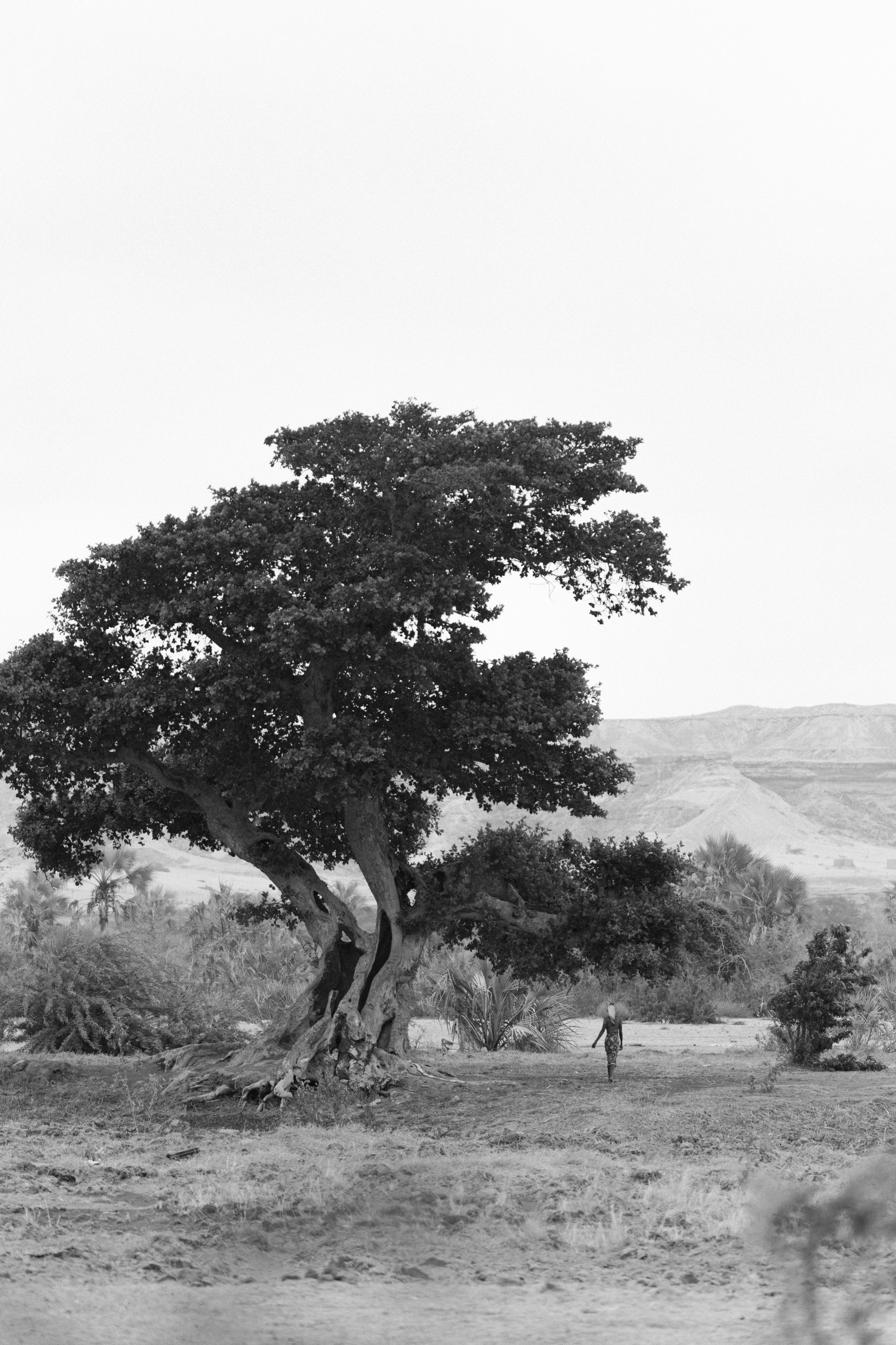 Namibe, Angola 2025 — Projeto Raízes. Fotógrafo e Videógrafo em Lisboa — Júlio da Silva