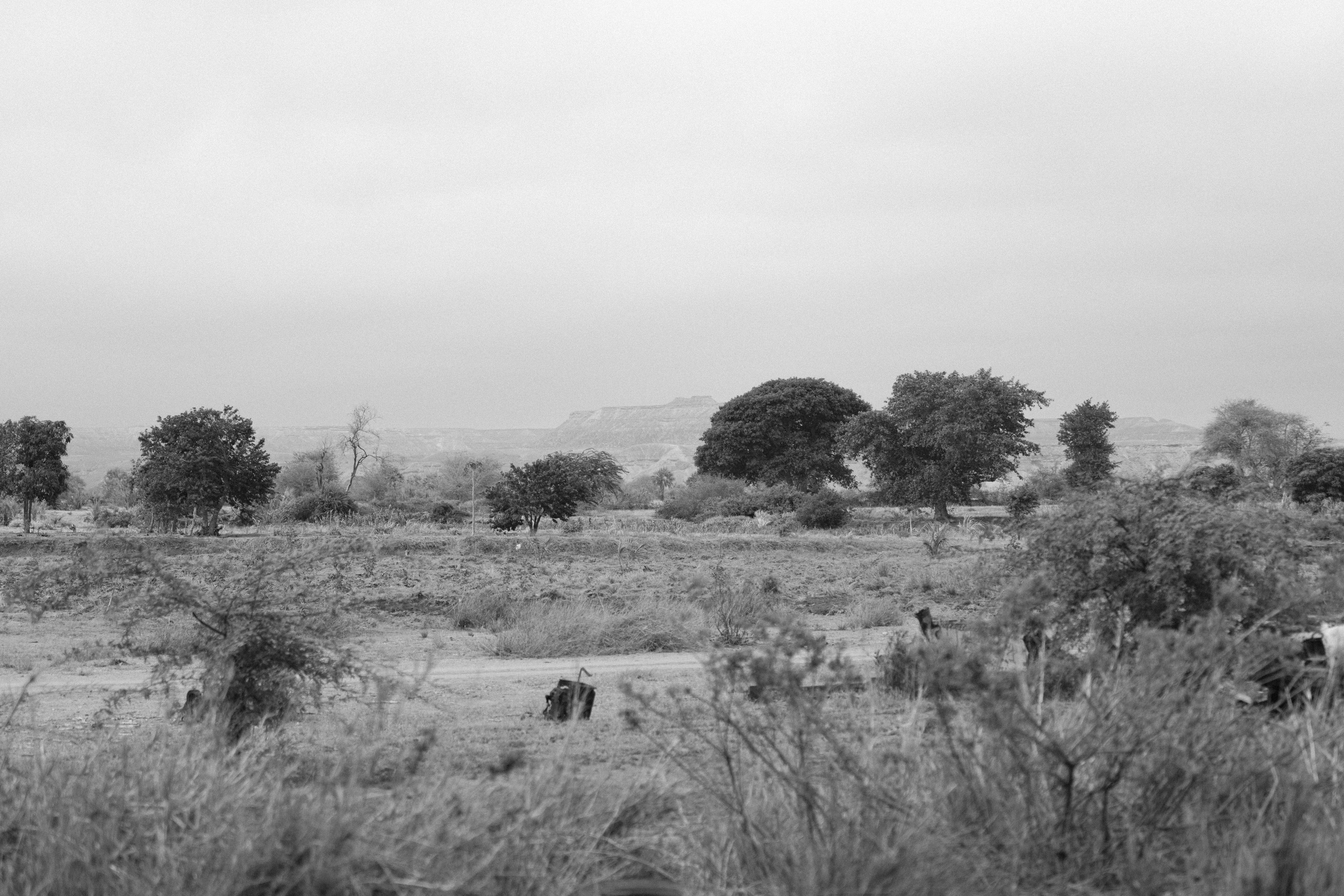 Namibe, Angola 2025 — Projeto Raízes. Fotógrafo e Videógrafo em Lisboa — Júlio da Silva