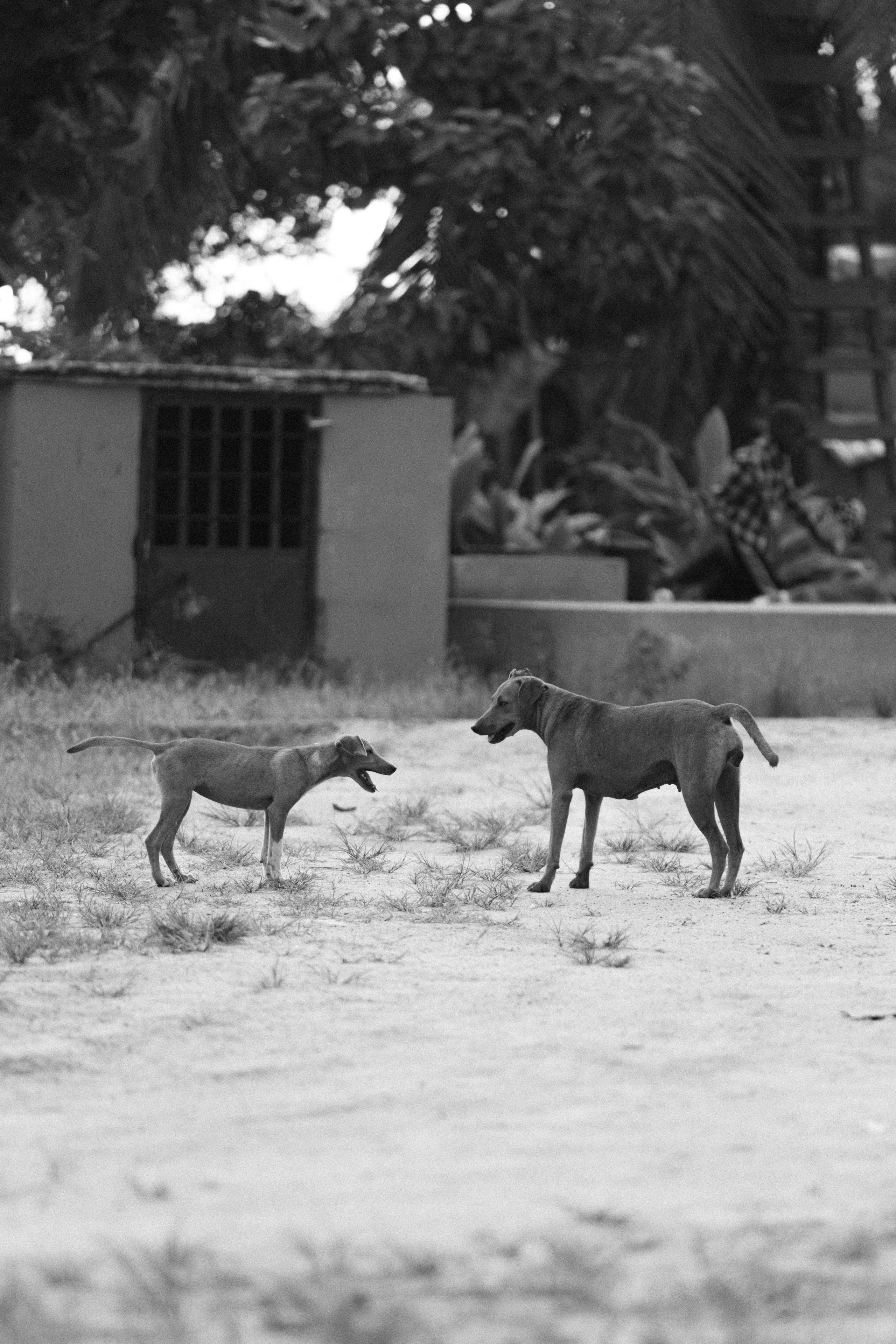 Cabinda, Angola 2025 — Projeto Raízes. Fotógrafo e Videógrafo em Lisboa — Júlio da Silva