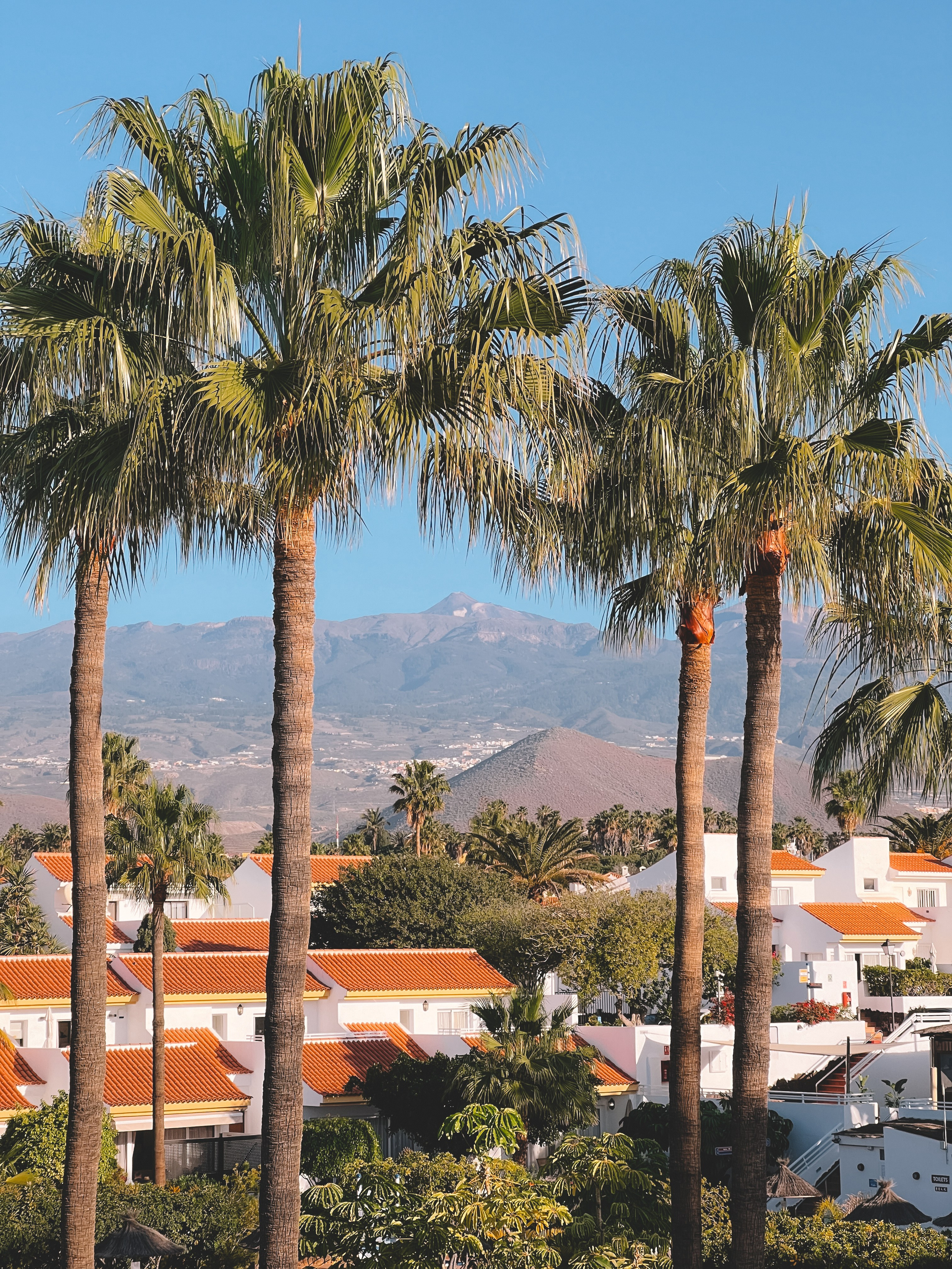 Tenerife. Ivlianna Travels — travel blog with photography tips