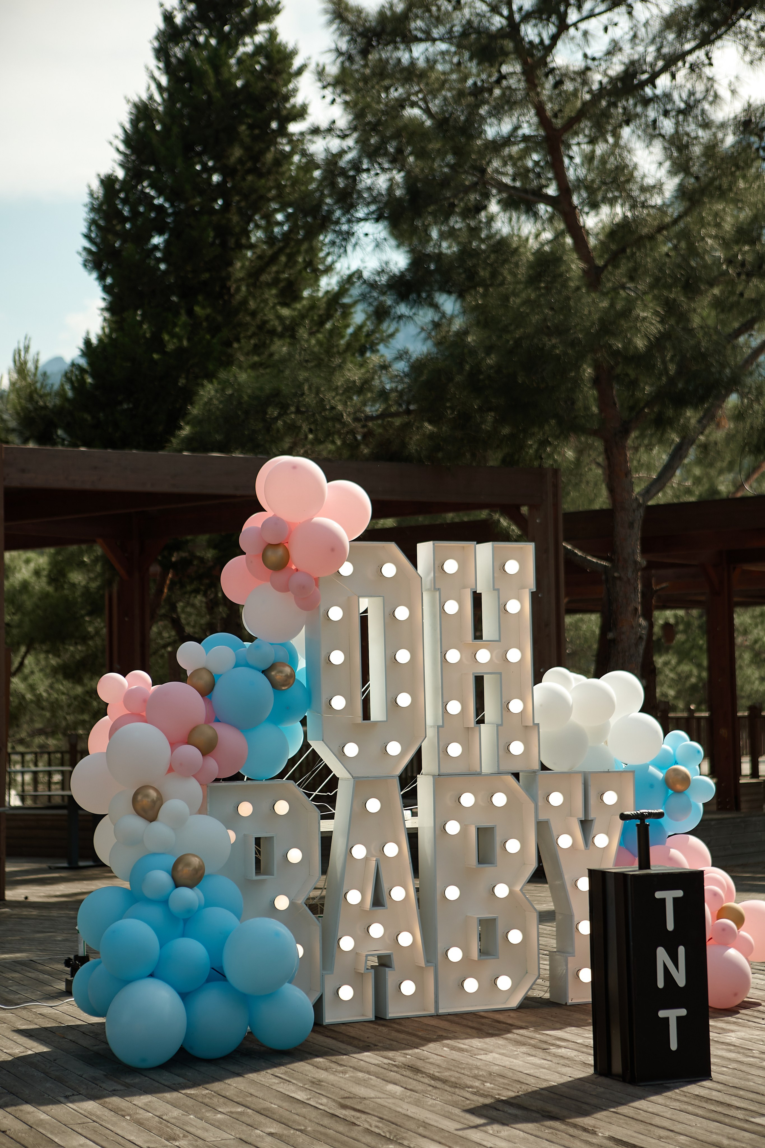 Гендер пати. Свадебный и семейный фотограф Жанна Руденко