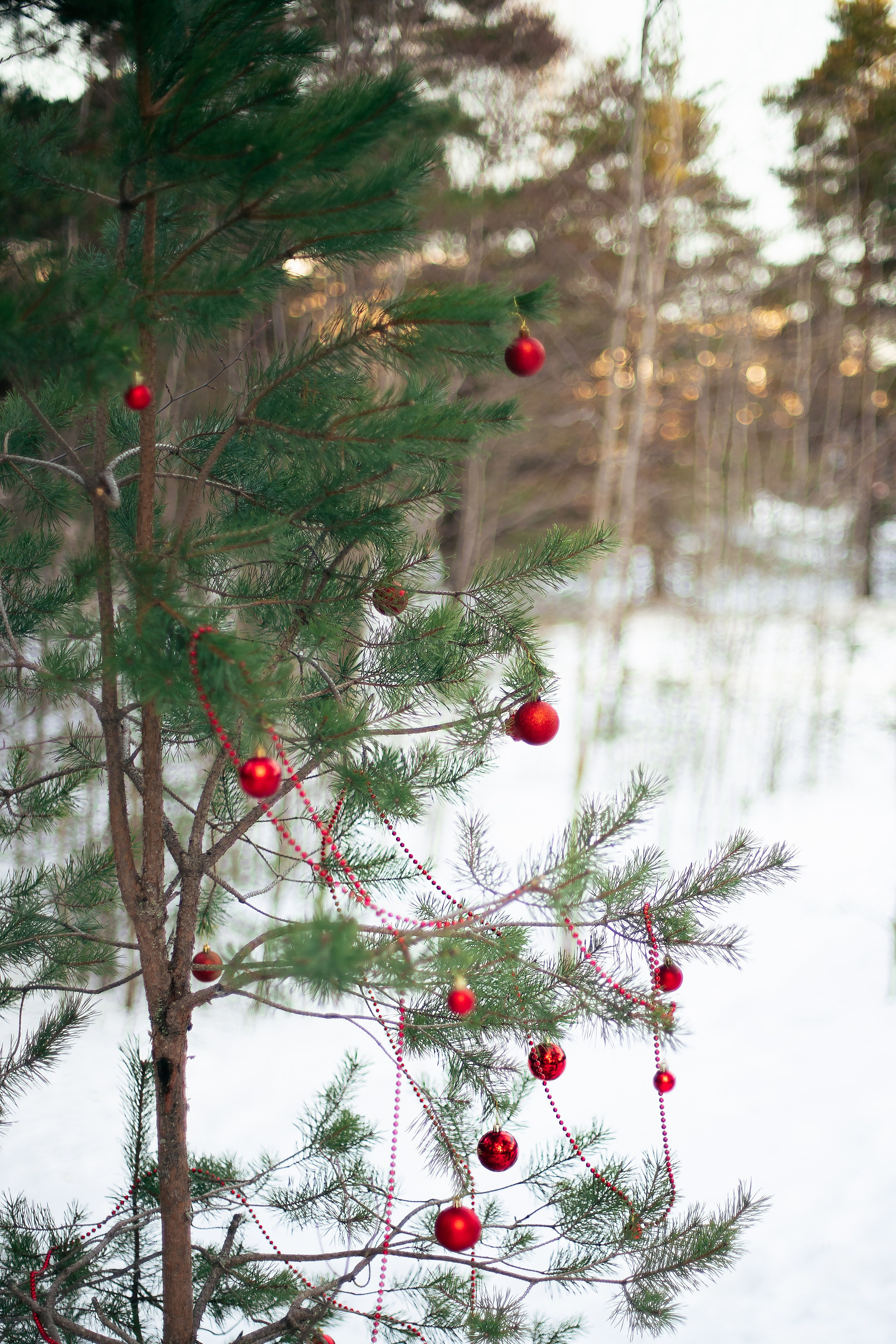 Никита и Кетрин. Главная