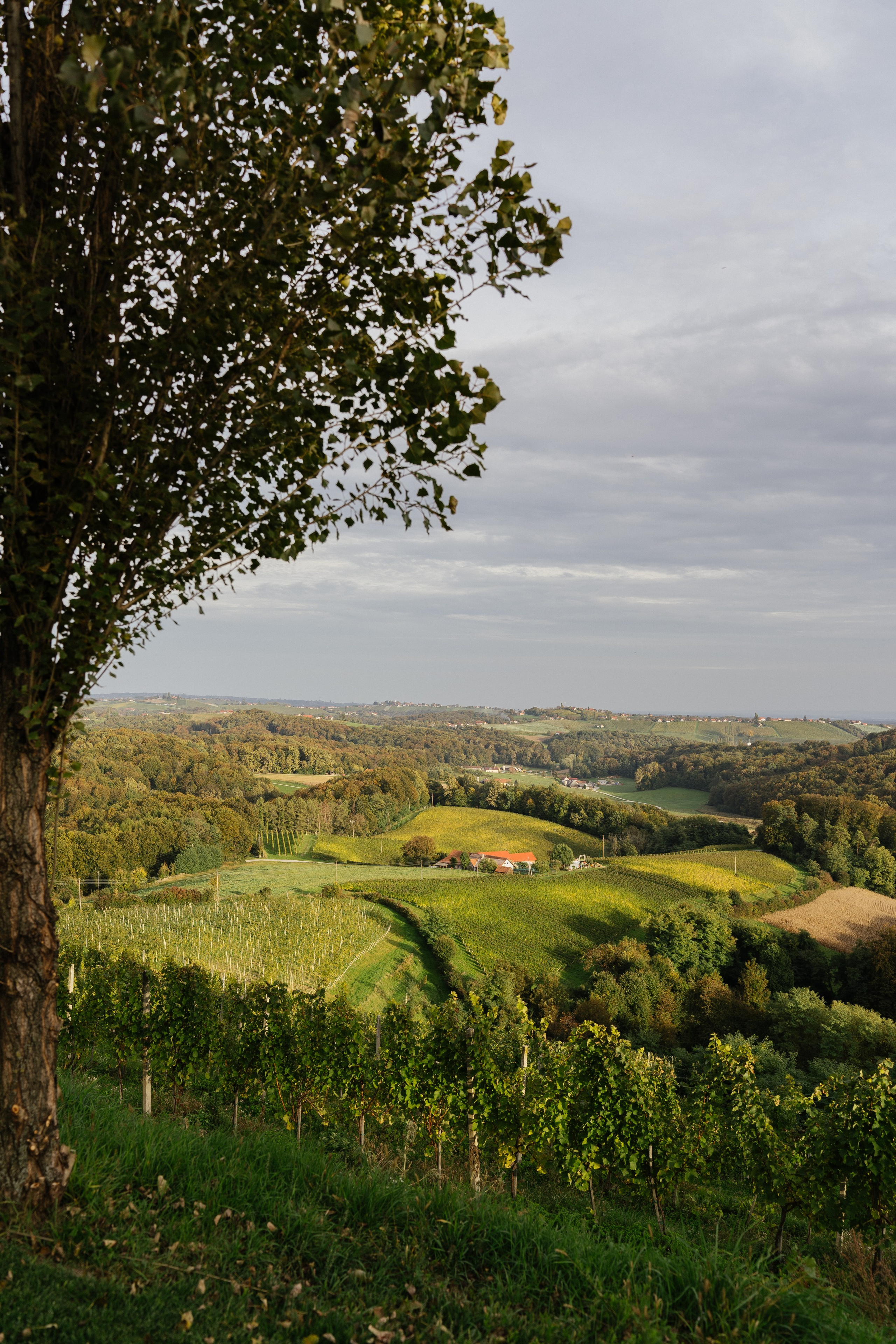A dreamy scenery. Patricia Morenci — Mountain Adventures for the Wild at Heart