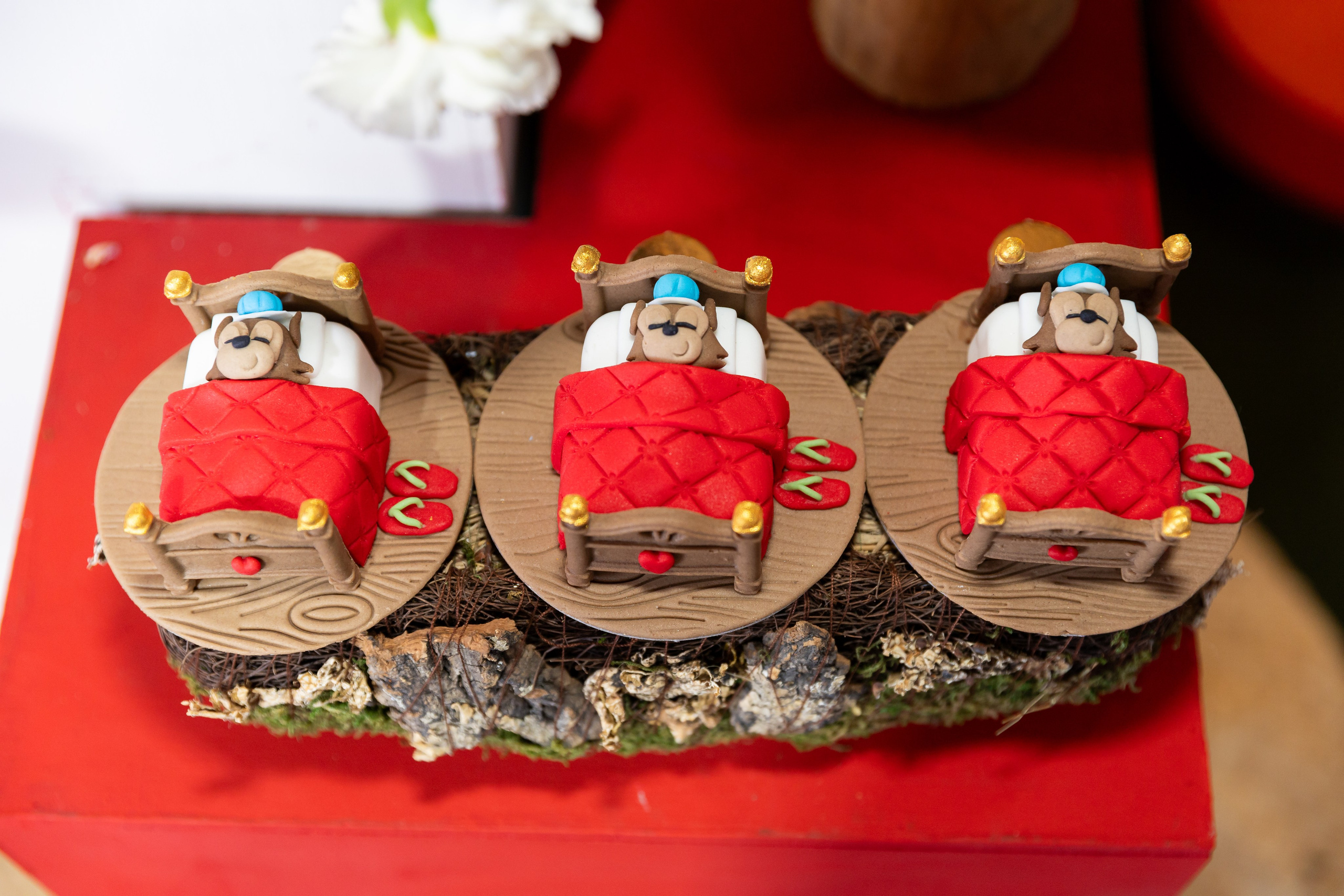 Maju 1 ano. Fotógrafo de casamentos, ensaios e eventos em Capelinha Pedro Antônio