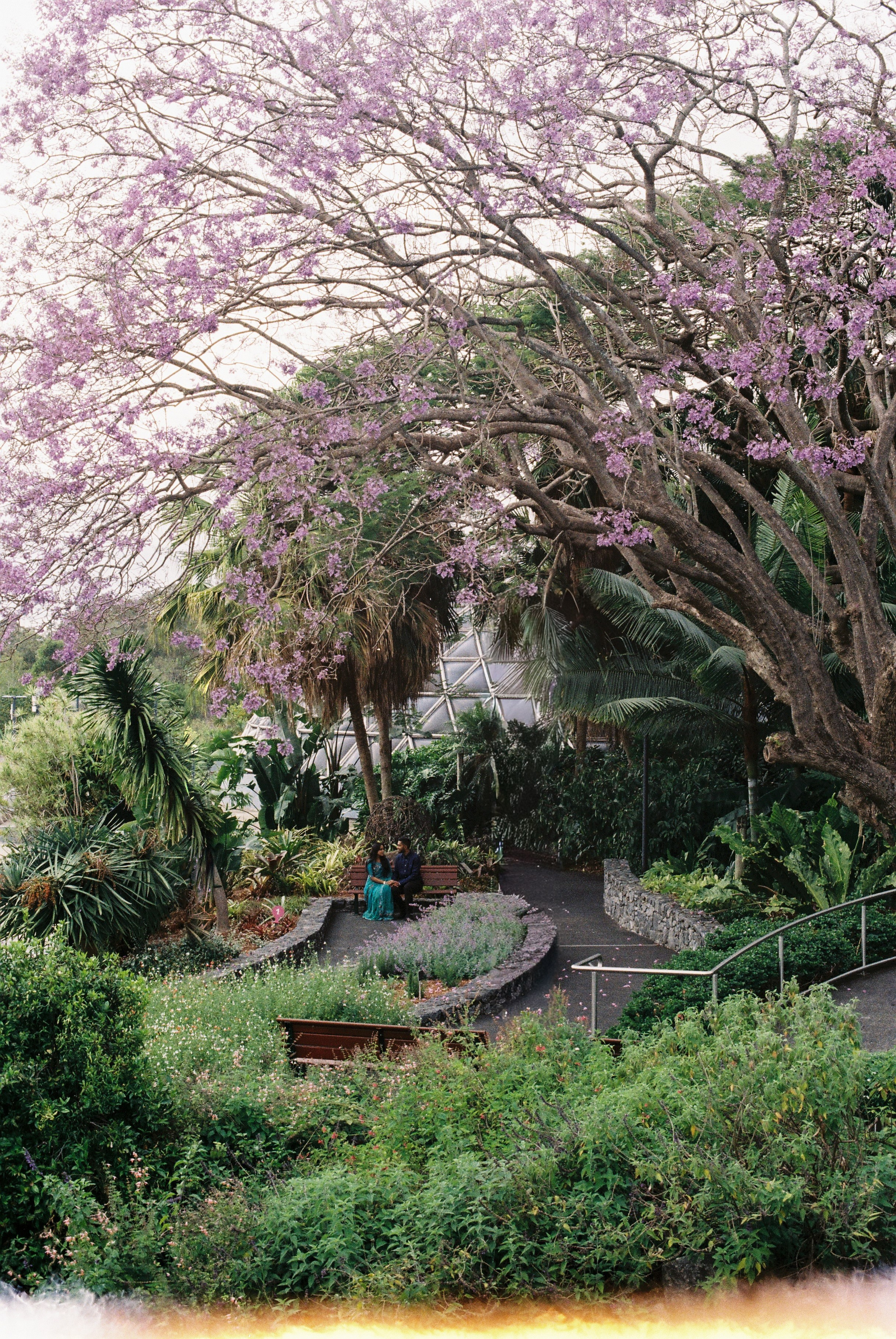 Sanu&Sugz. Film photographer