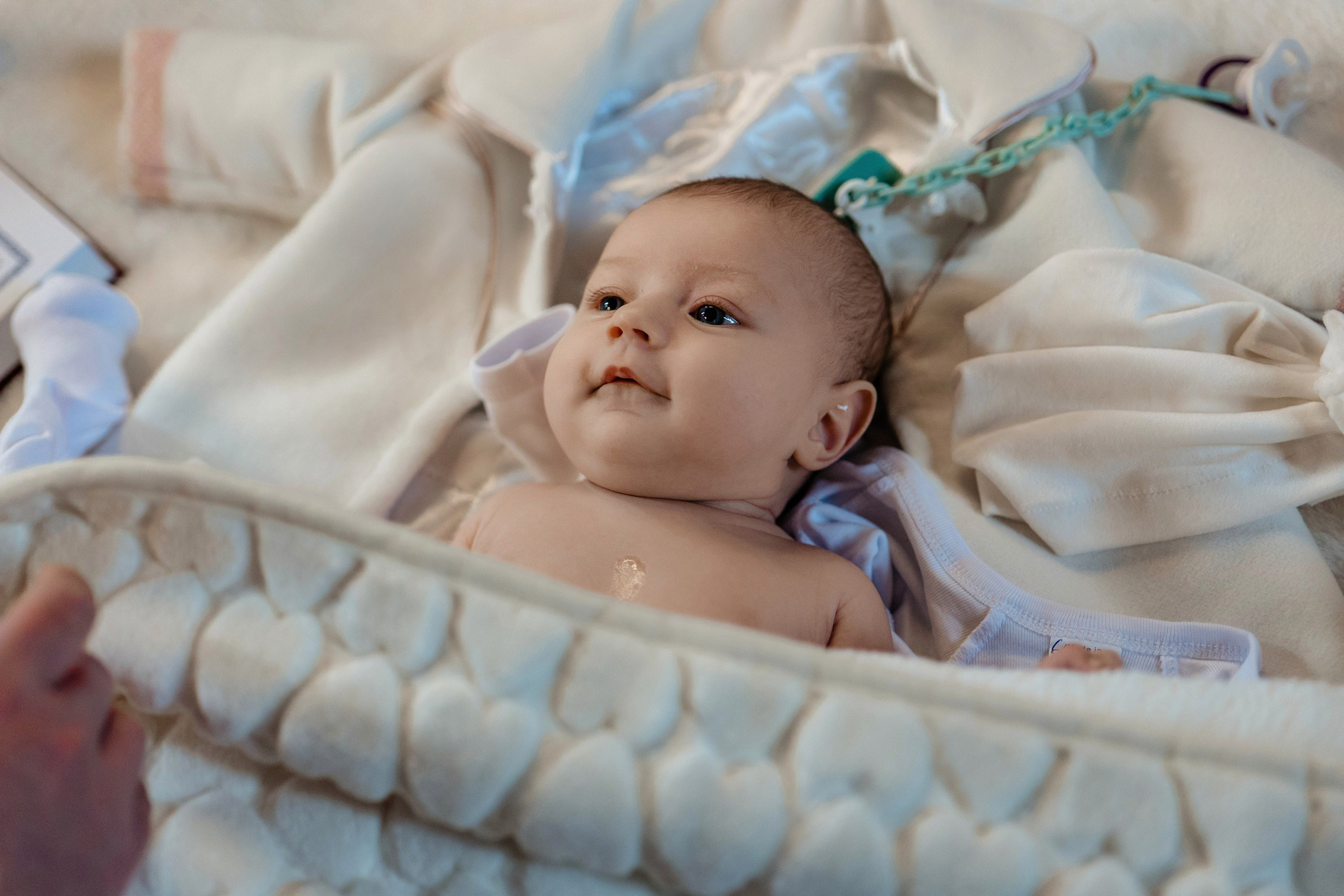 Fotograf botez Bistrița. Fotograf nuntă Bistrița | fotograf botez | Creativ Foto Video | Vasile Mizgan