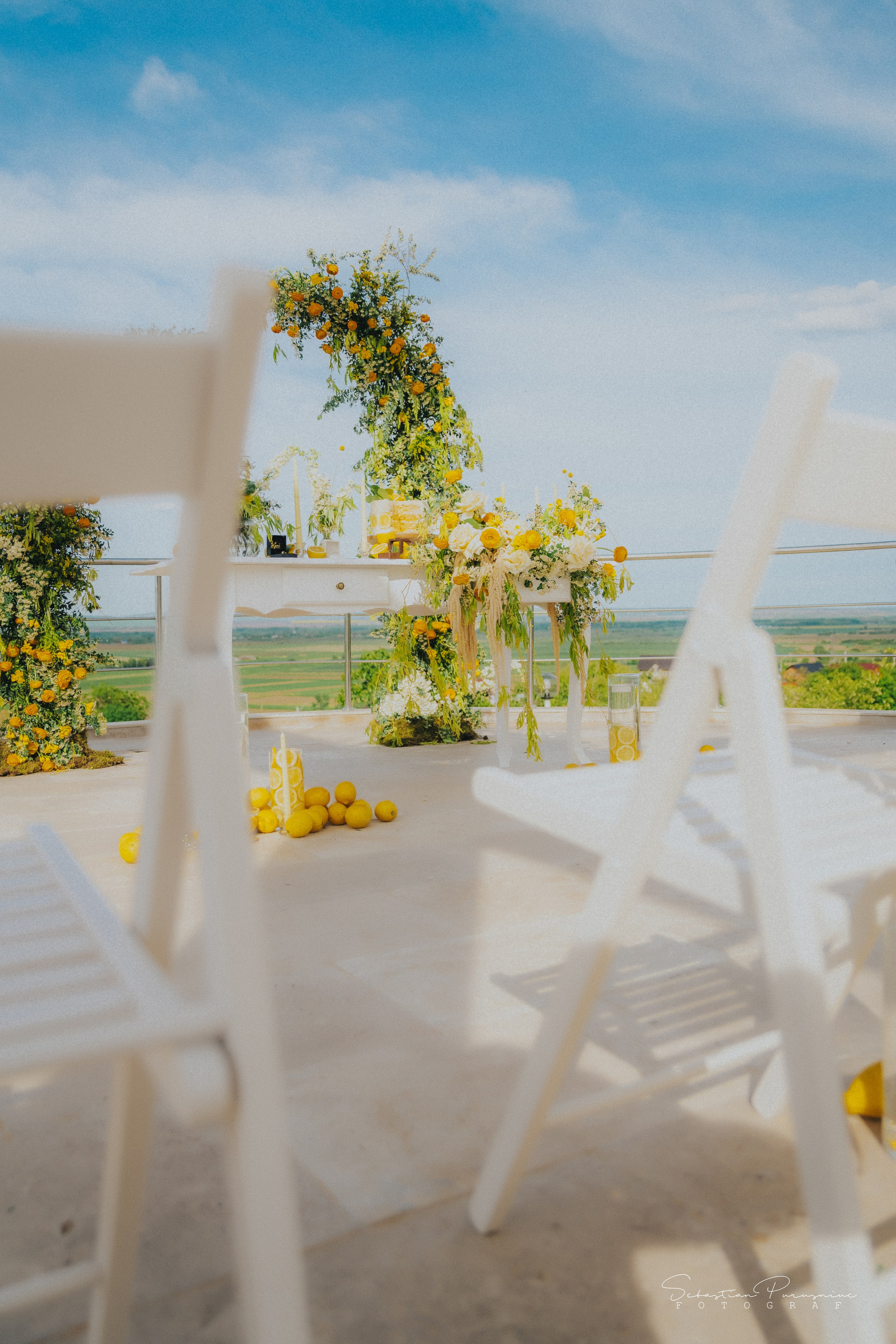 Love & Lemons. Sebastian Purusniuc Fotograf - Iasi