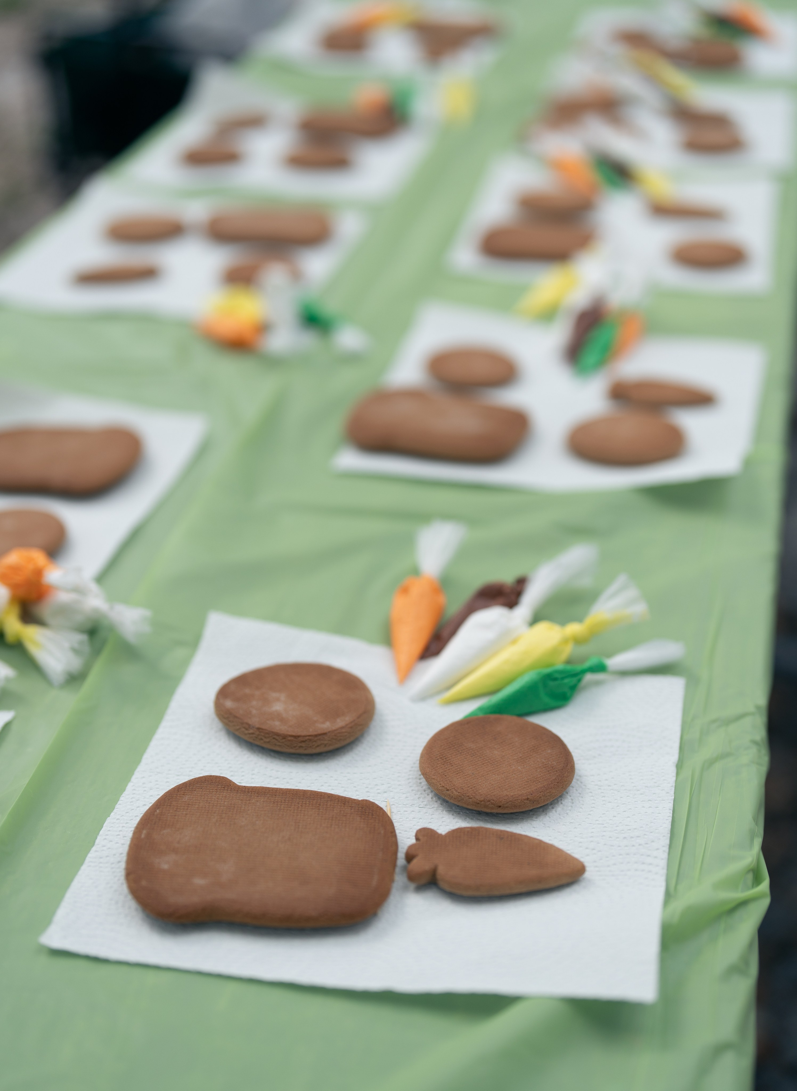 Painting cookies. Color Boom