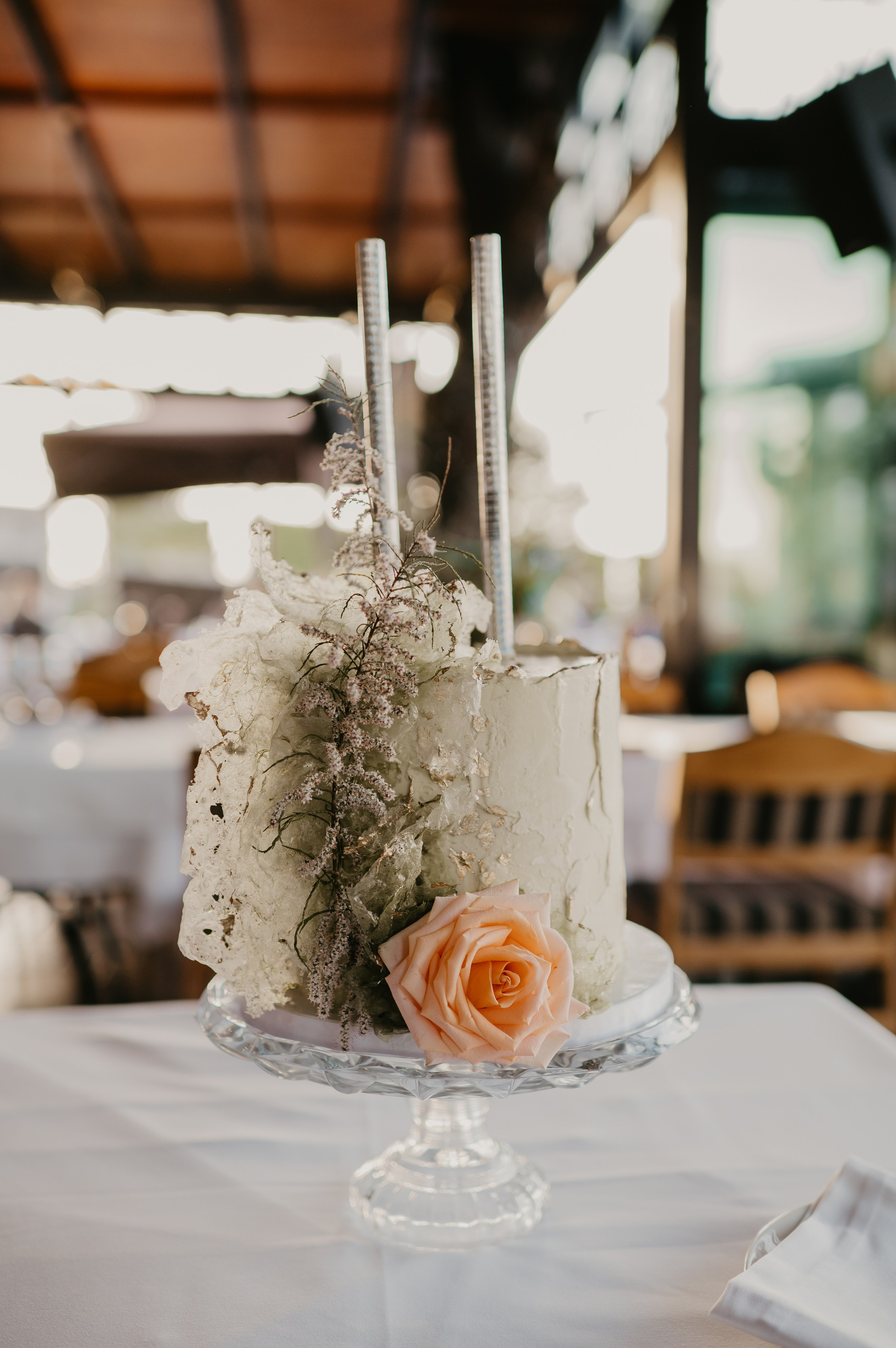 Ирина и Евгениј. Ana Sladojevic